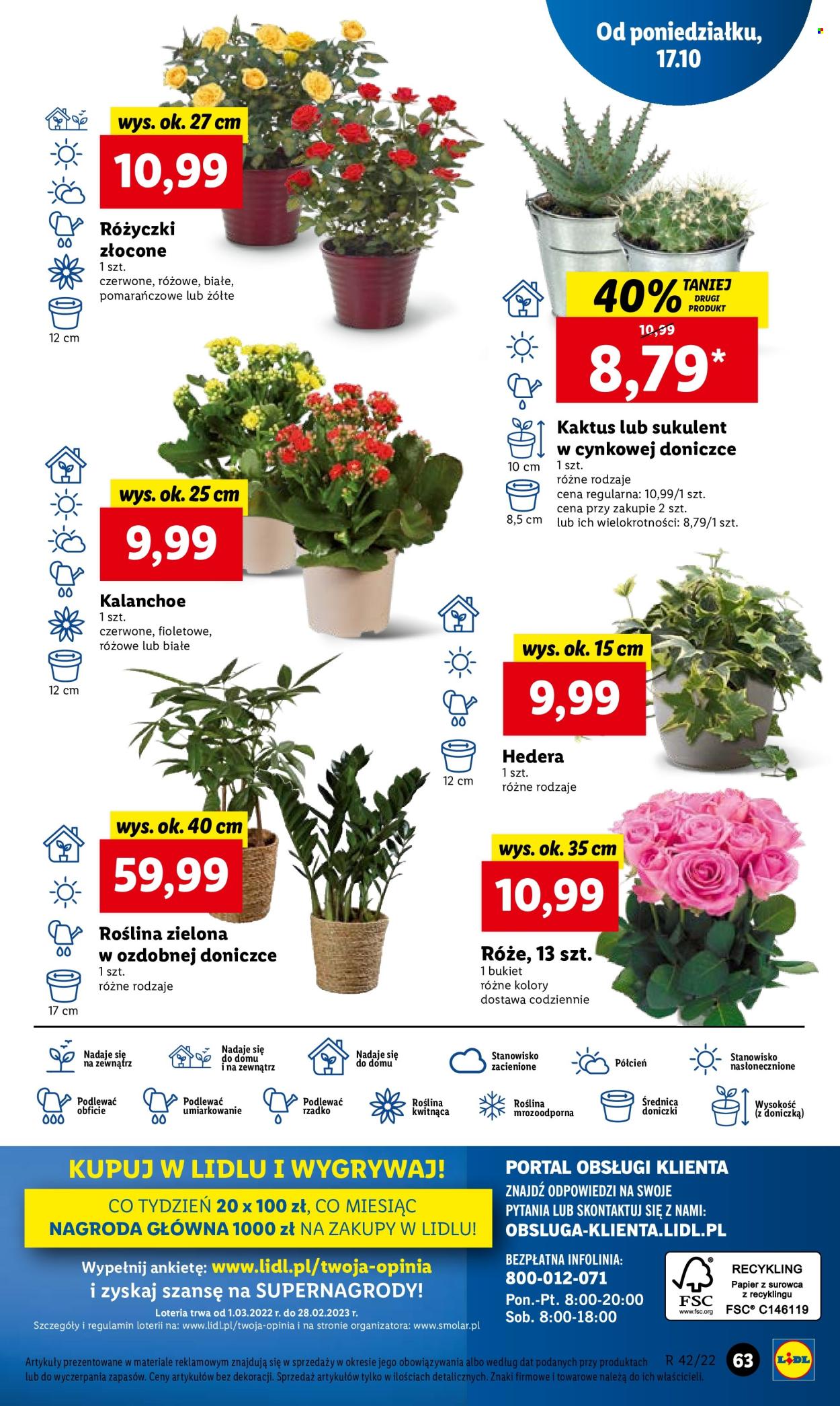 Gazetka Lidl - 17.10.2022 - 19.10.2022. Strona 73