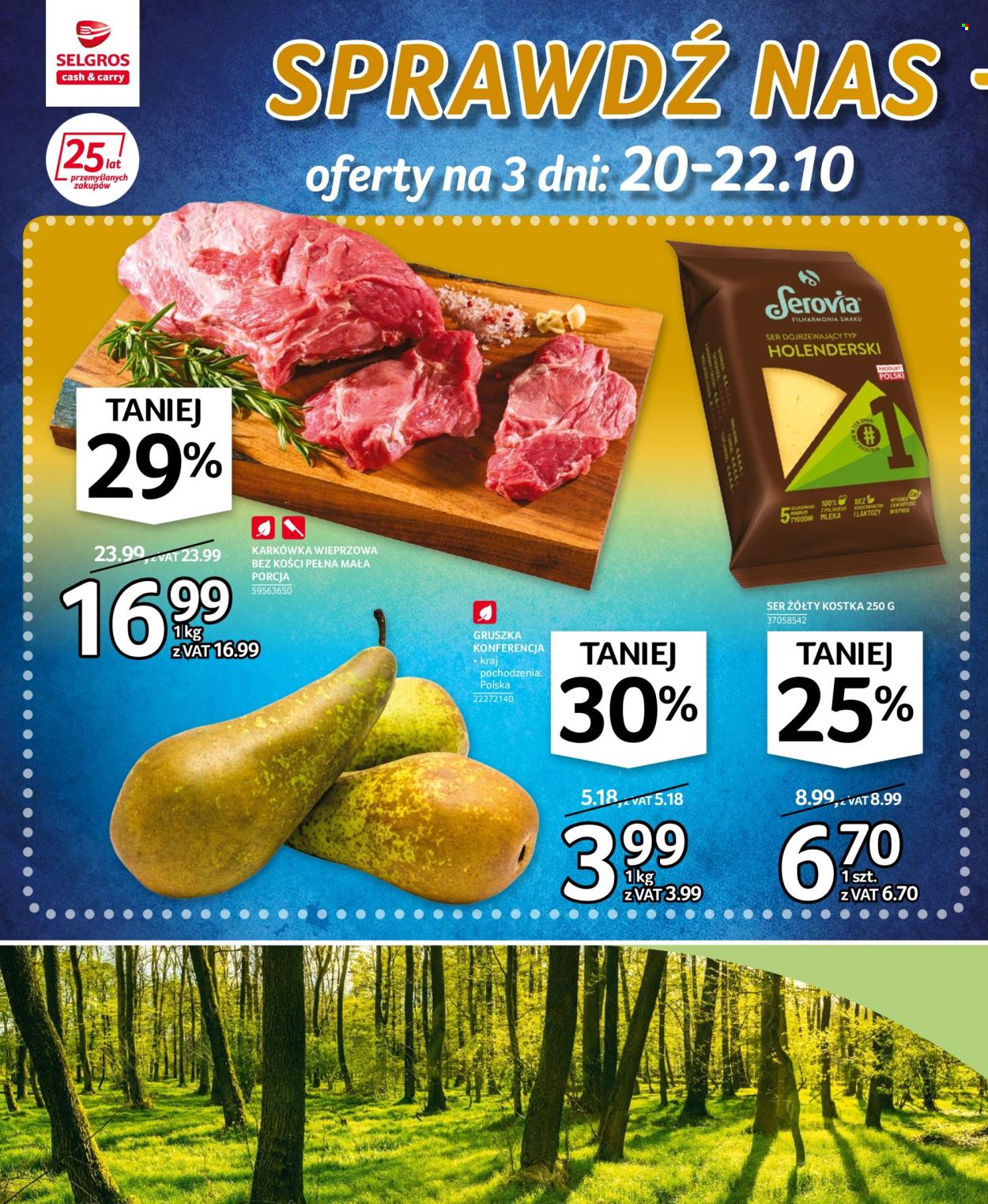 Gazetka Selgros - 20.10.2022 - 2.11.2022. Strona 2