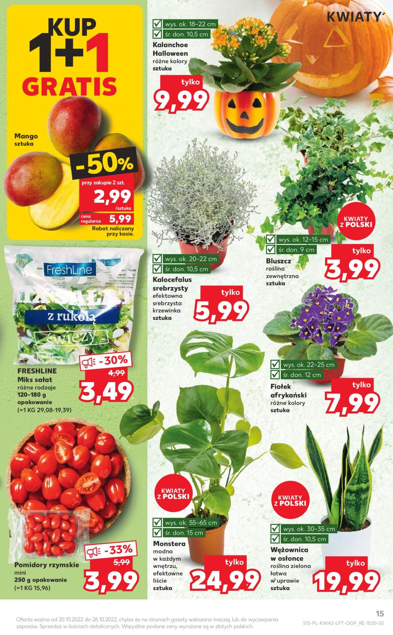 Gazetka Kaufland - 20.10.2022 - 26.10.2022. Strona 15