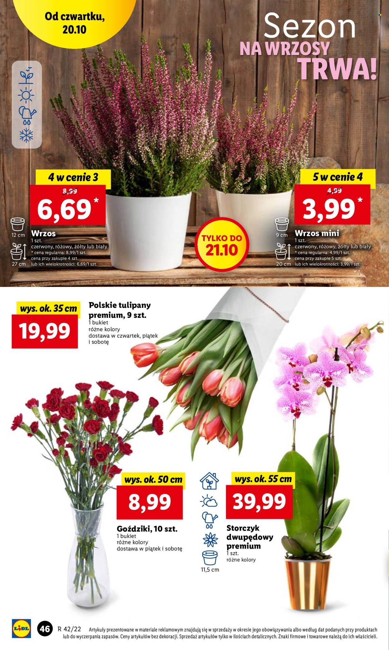 Gazetka Lidl - 20.10.2022 - 22.10.2022. Strona 56