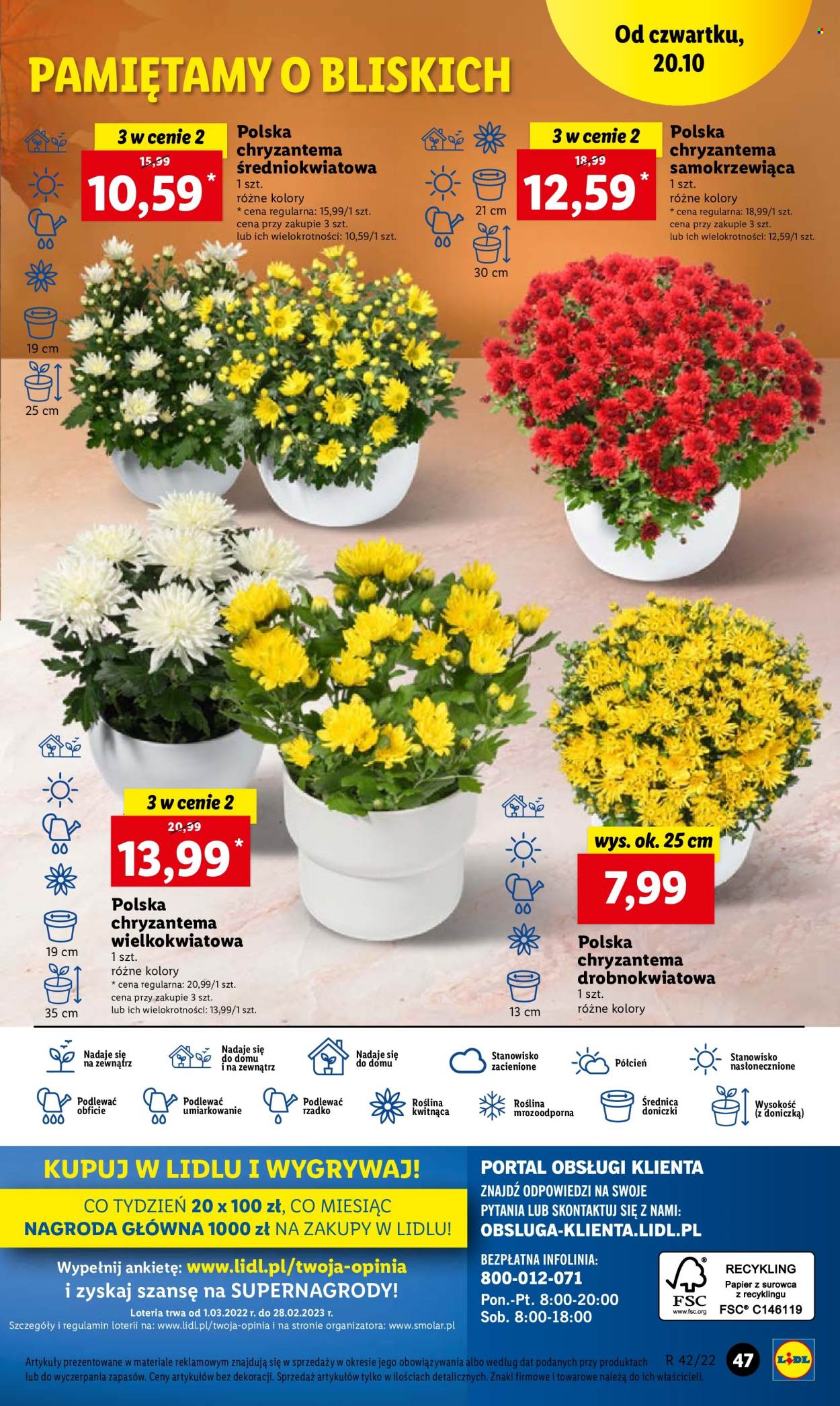 Gazetka Lidl - 20.10.2022 - 22.10.2022. Strona 57