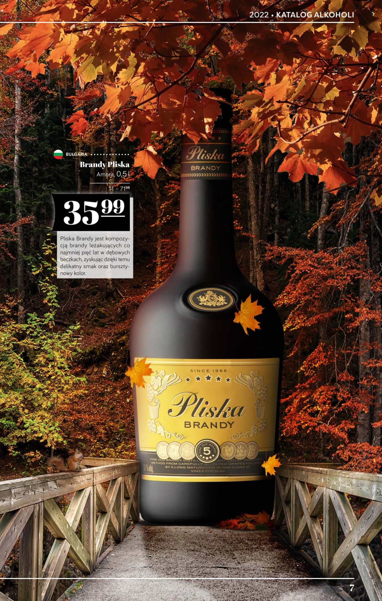 Gazetka Polomarket - 21.10.2022 - 17.11.2022. Strona 7