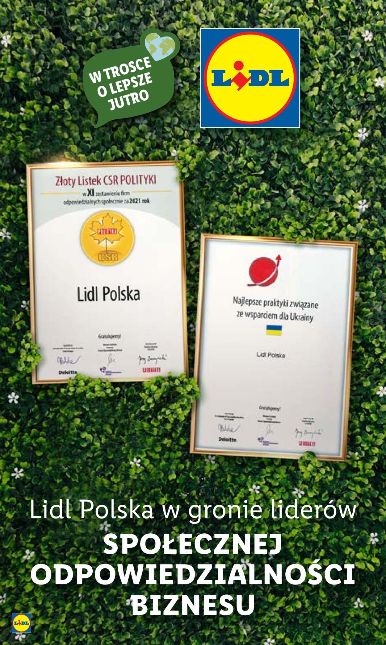 Gazetka Lidl - 31.10.2022 - 5.11.2022. Strona 54