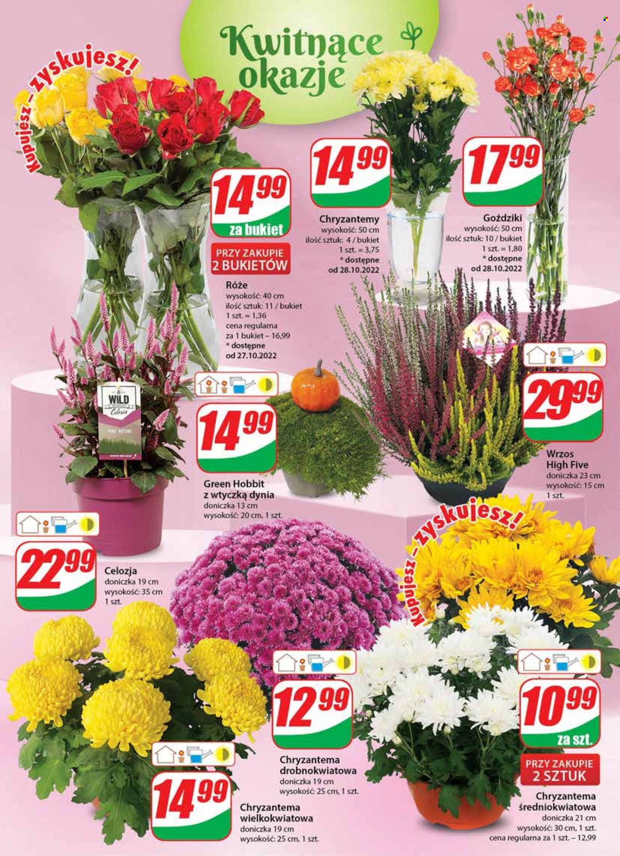 Gazetka Dino - 26.10.2022 - 31.10.2022. Strona 20