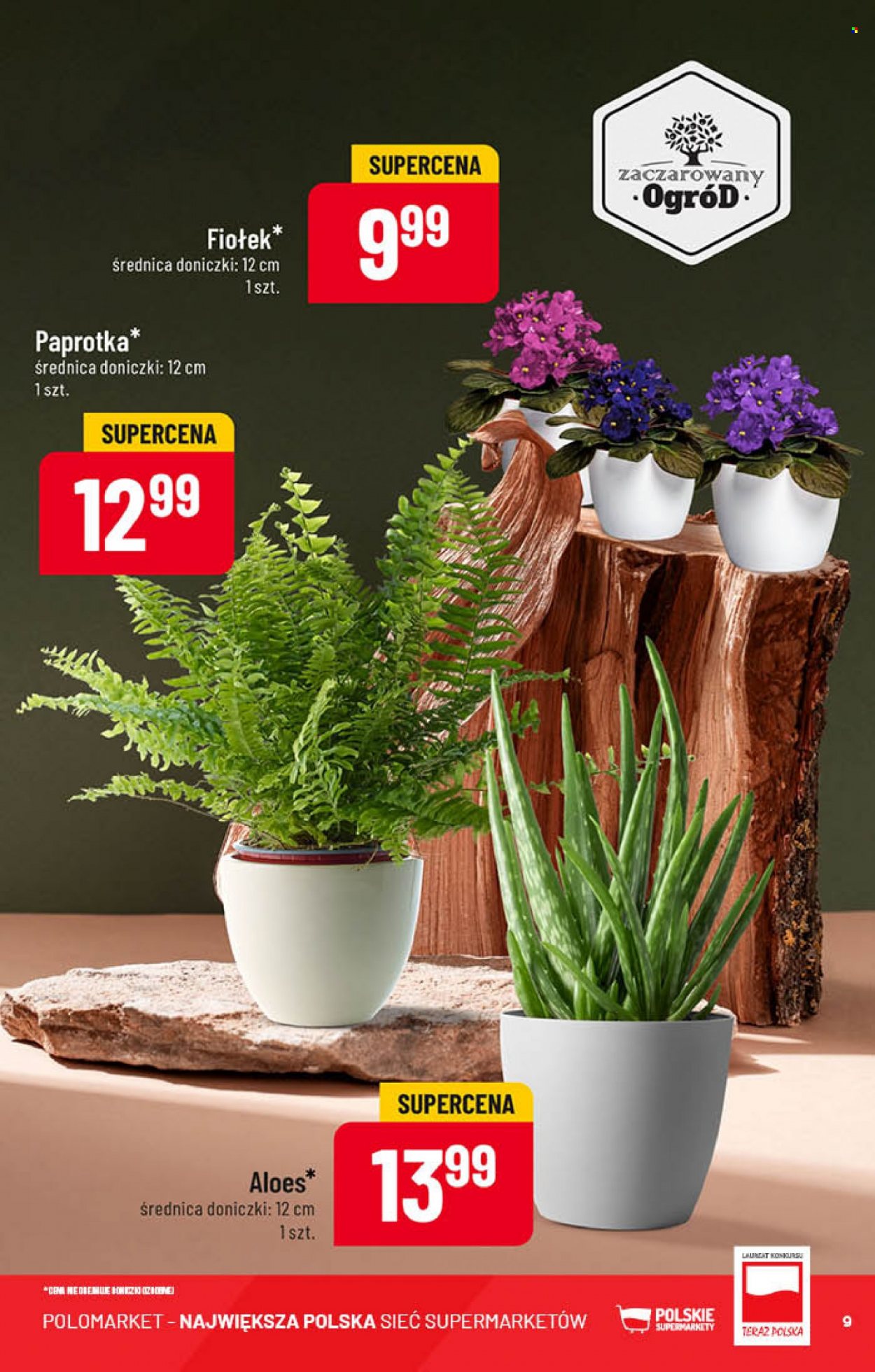Gazetka Polomarket - 2.11.2022 - 8.11.2022. Strona 9