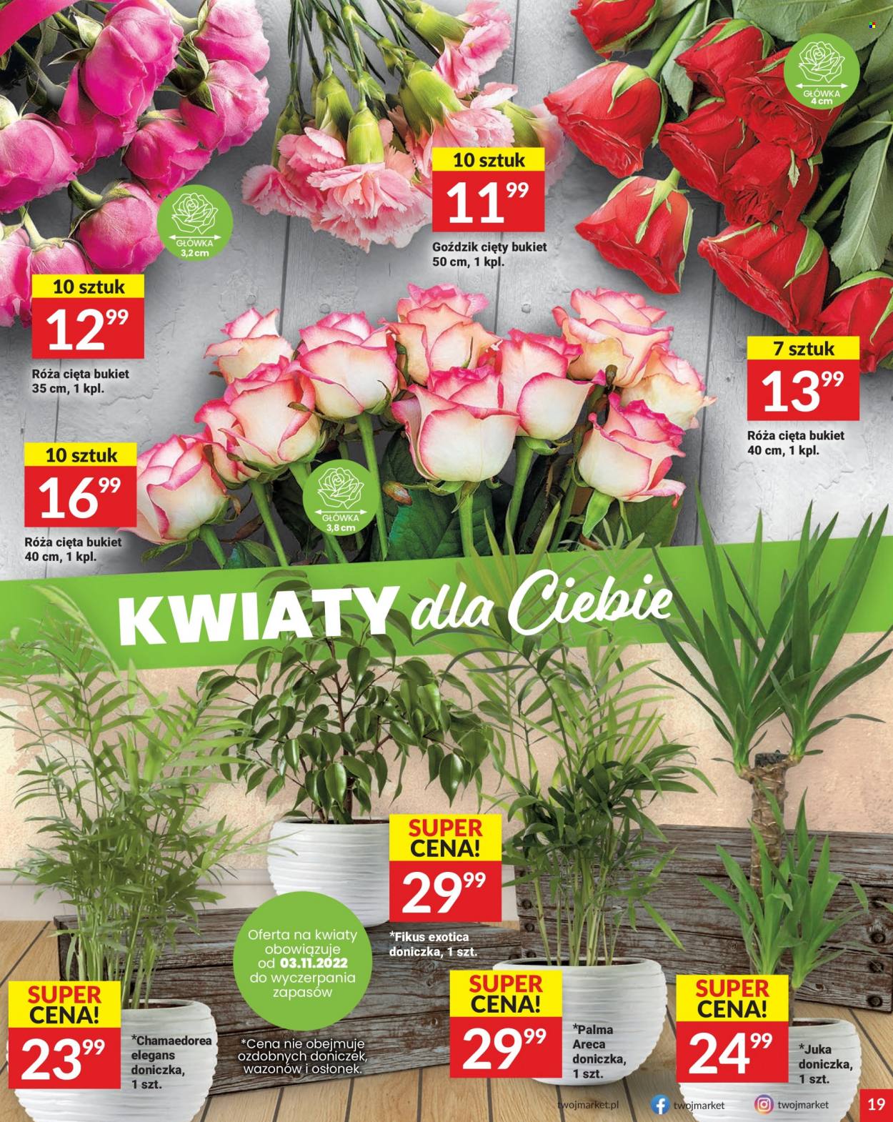 Gazetka Twój Market - 2.11.2022 - 8.11.2022. Strona 19