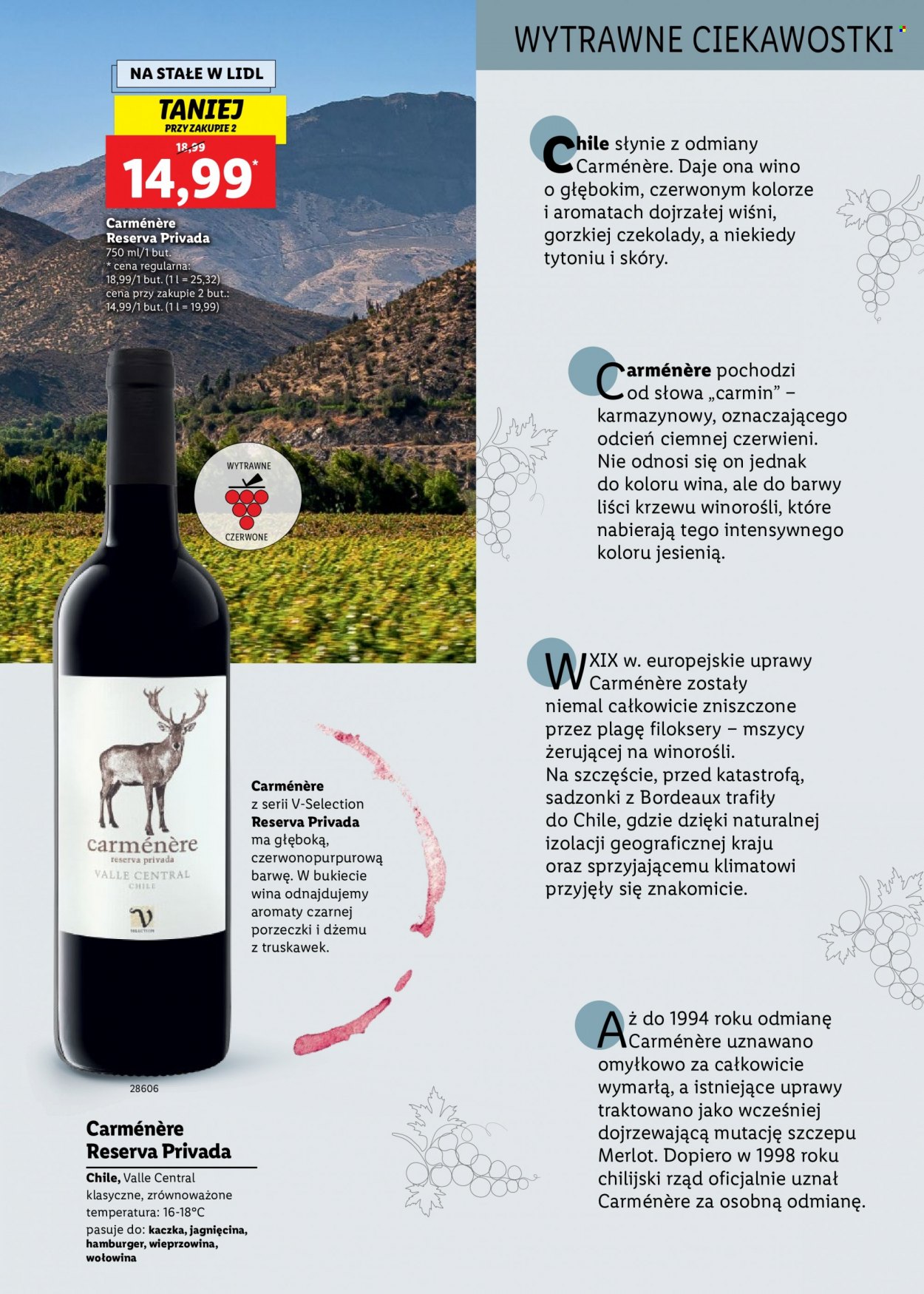 Gazetka Lidl - 31.10.2022 - 12.11.2022. Strona 7