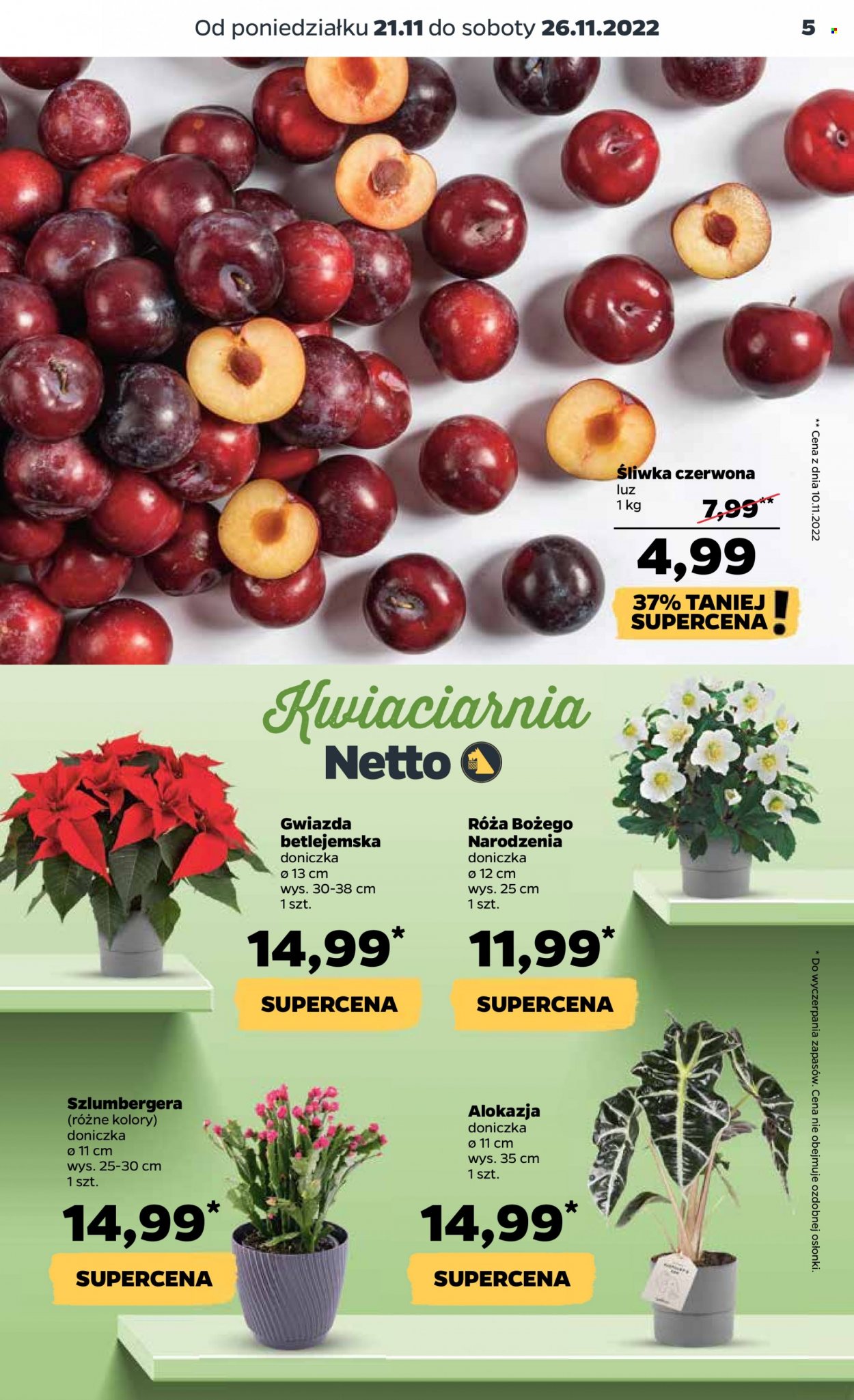 Gazetka Netto - 21.11.2022 - 26.11.2022. Strona 5