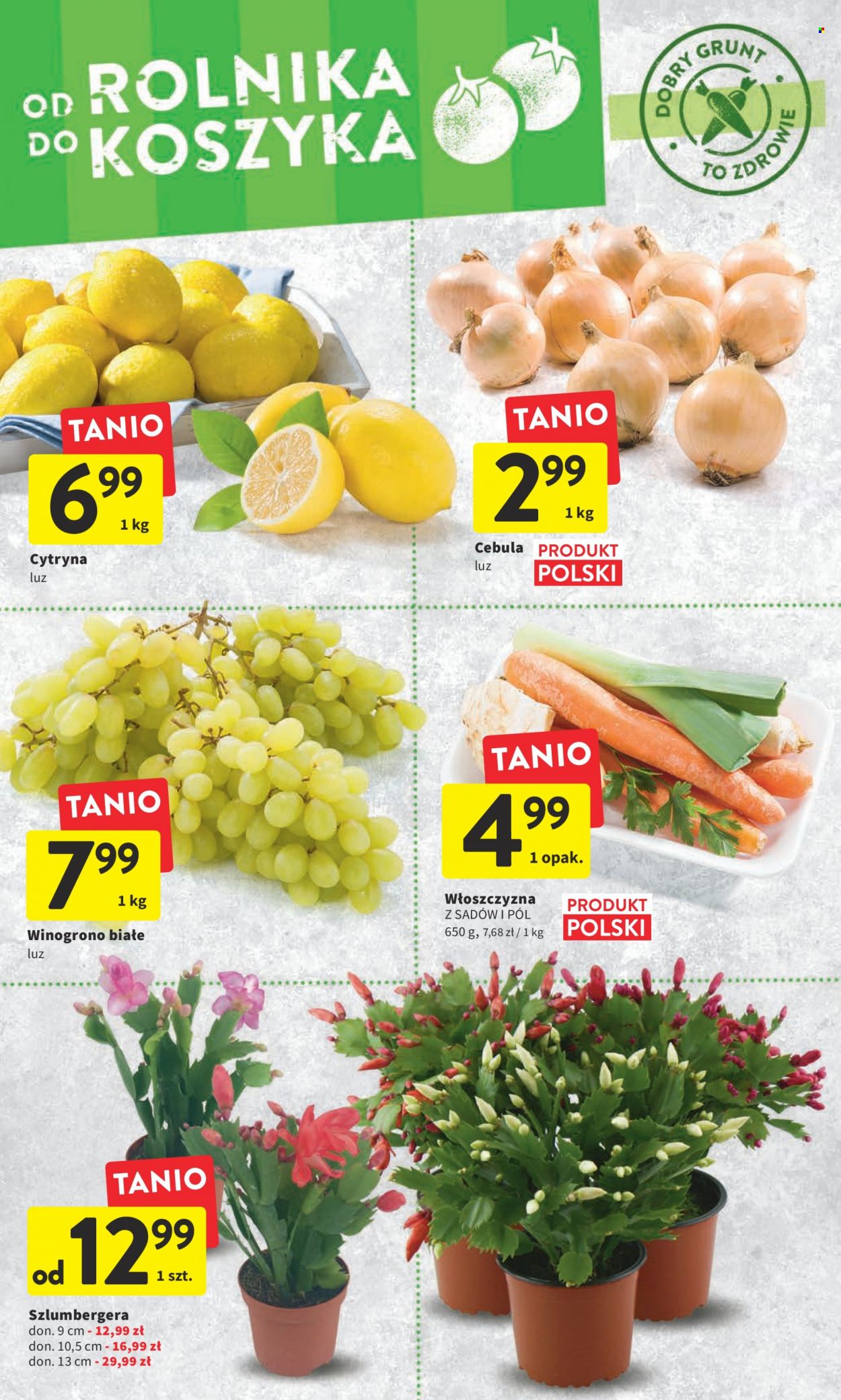 Gazetka Intermarché - 24.11.2022 - 30.11.2022. Strona 14
