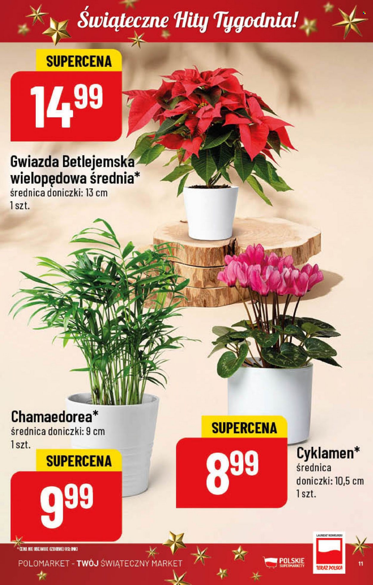 Gazetka Polomarket - 23.11.2022 - 29.11.2022. Strona 11
