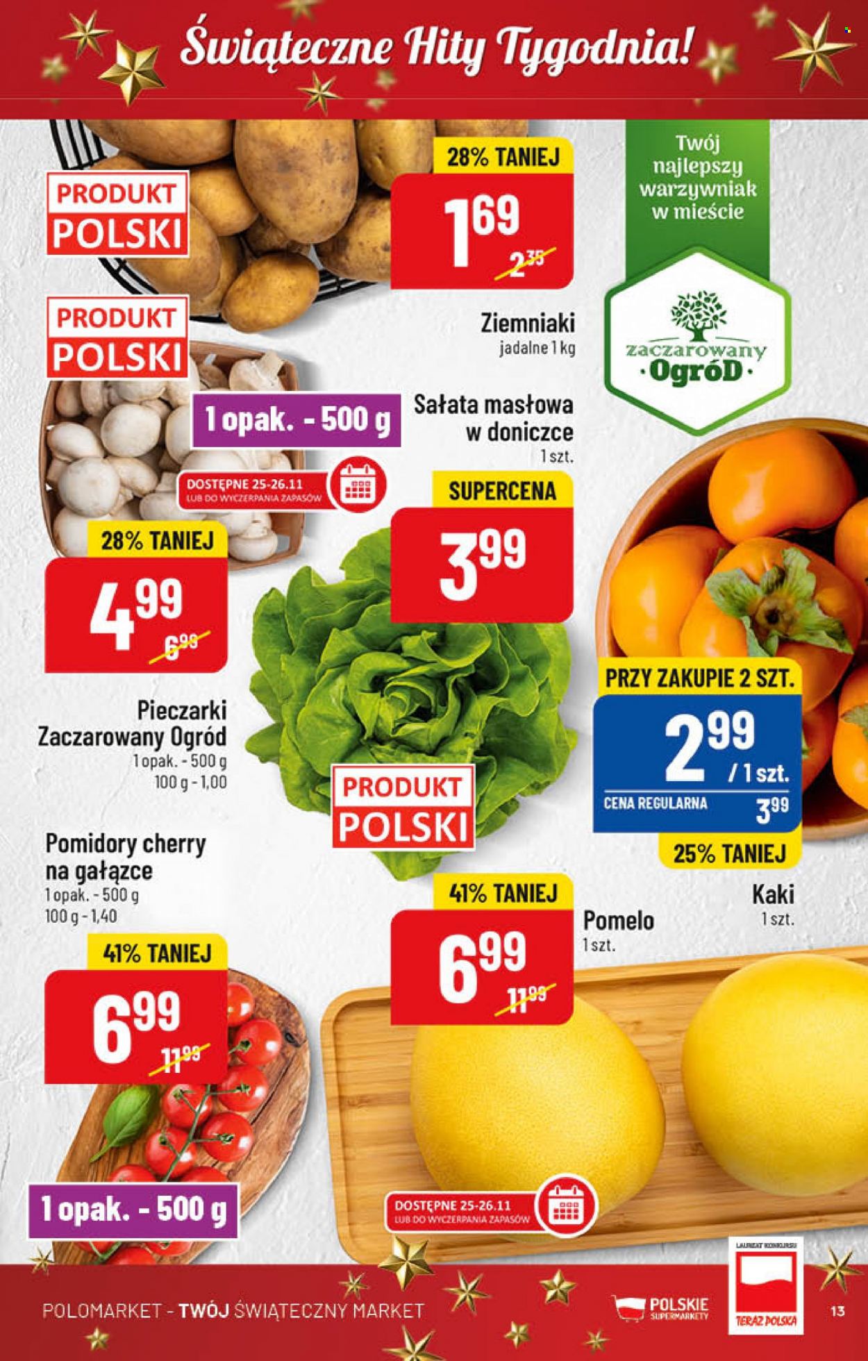 Gazetka Polomarket - 23.11.2022 - 29.11.2022. Strona 13