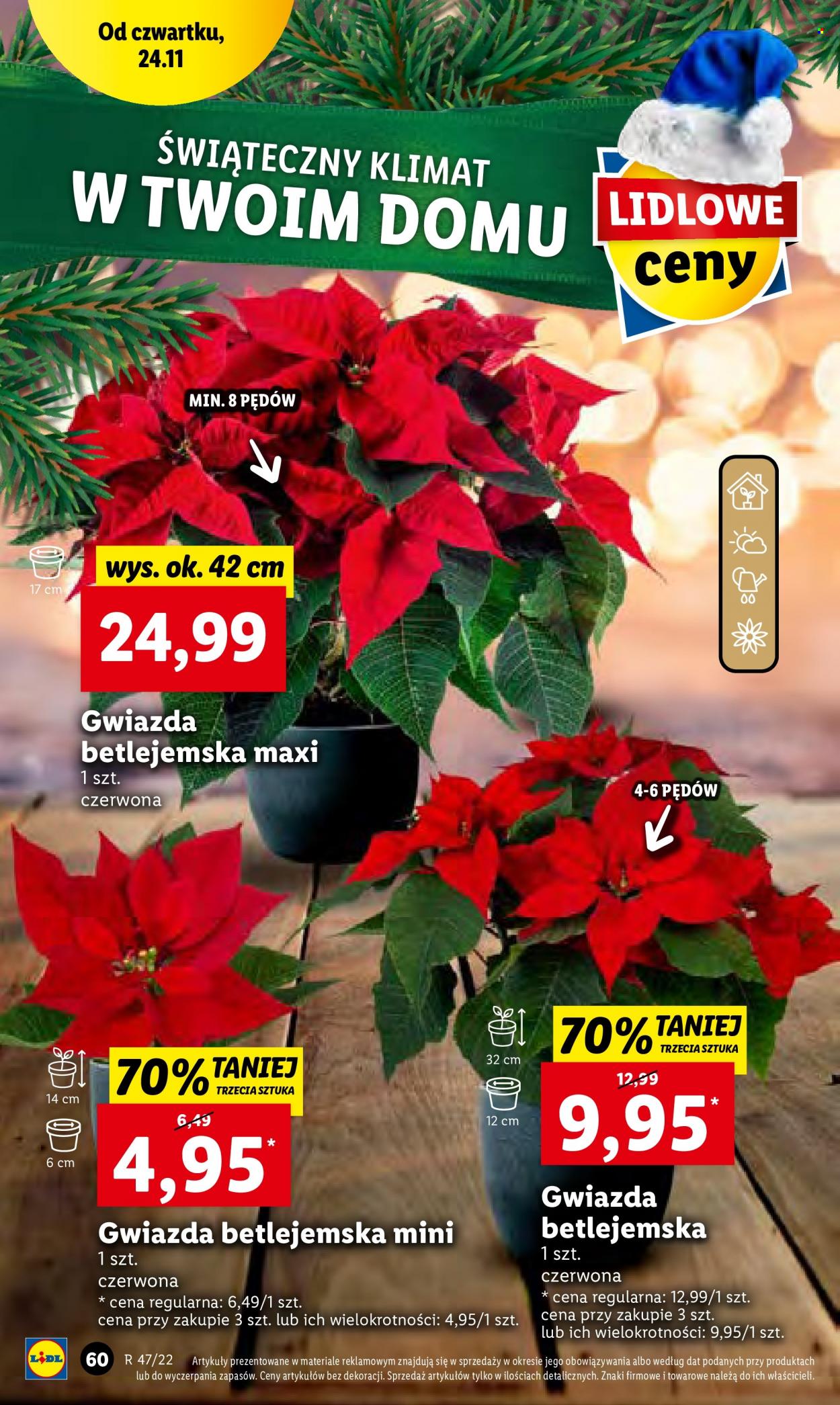 Gazetka Lidl - 24.11.2022 - 26.11.2022. Strona 62