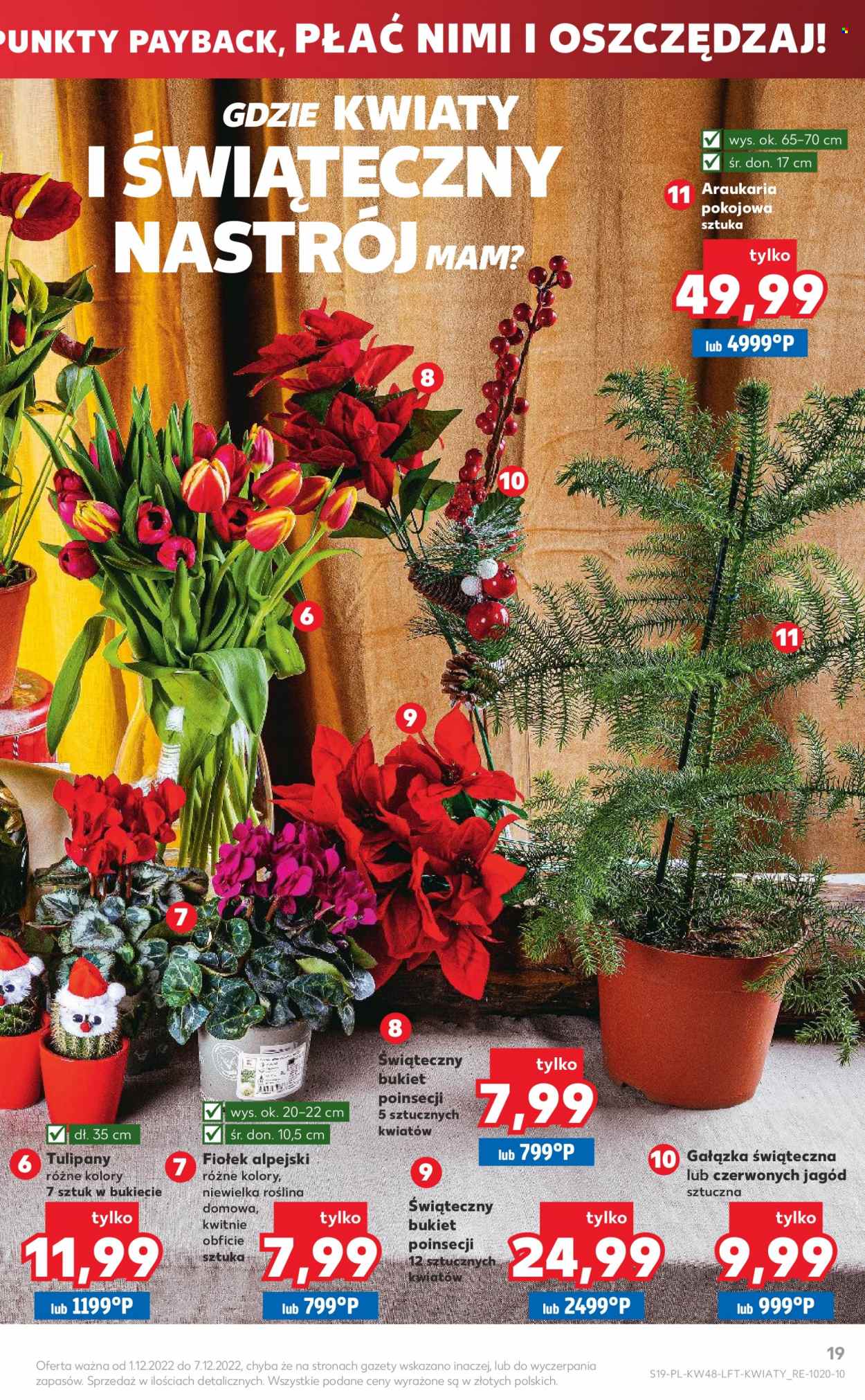 Gazetka Kaufland - 1.12.2022 - 7.12.2022. Strona 19