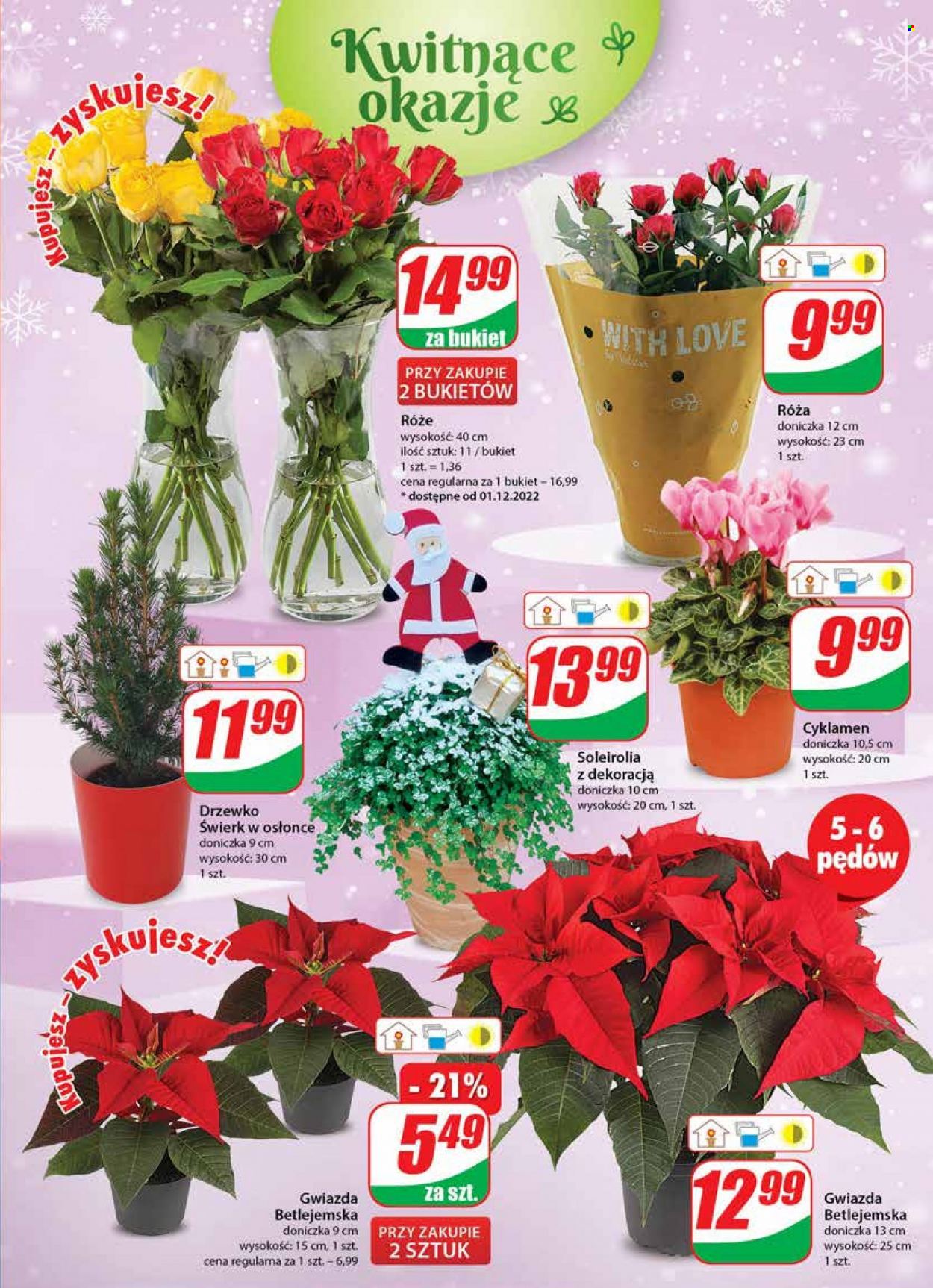 Gazetka Dino - 30.11.2022 - 6.12.2022. Strona 21