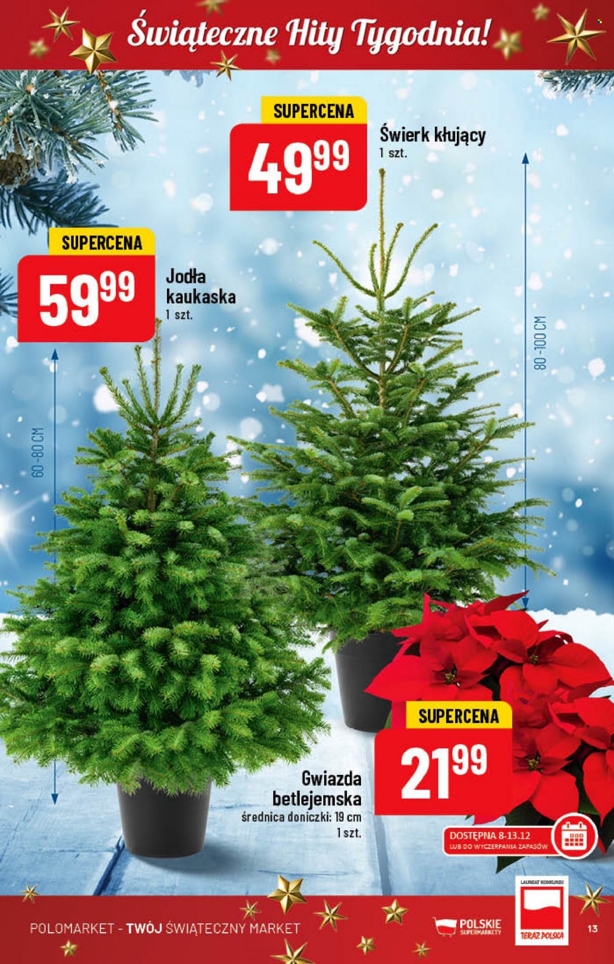 Gazetka Polomarket - 7.12.2022 - 13.12.2022. Strona 13