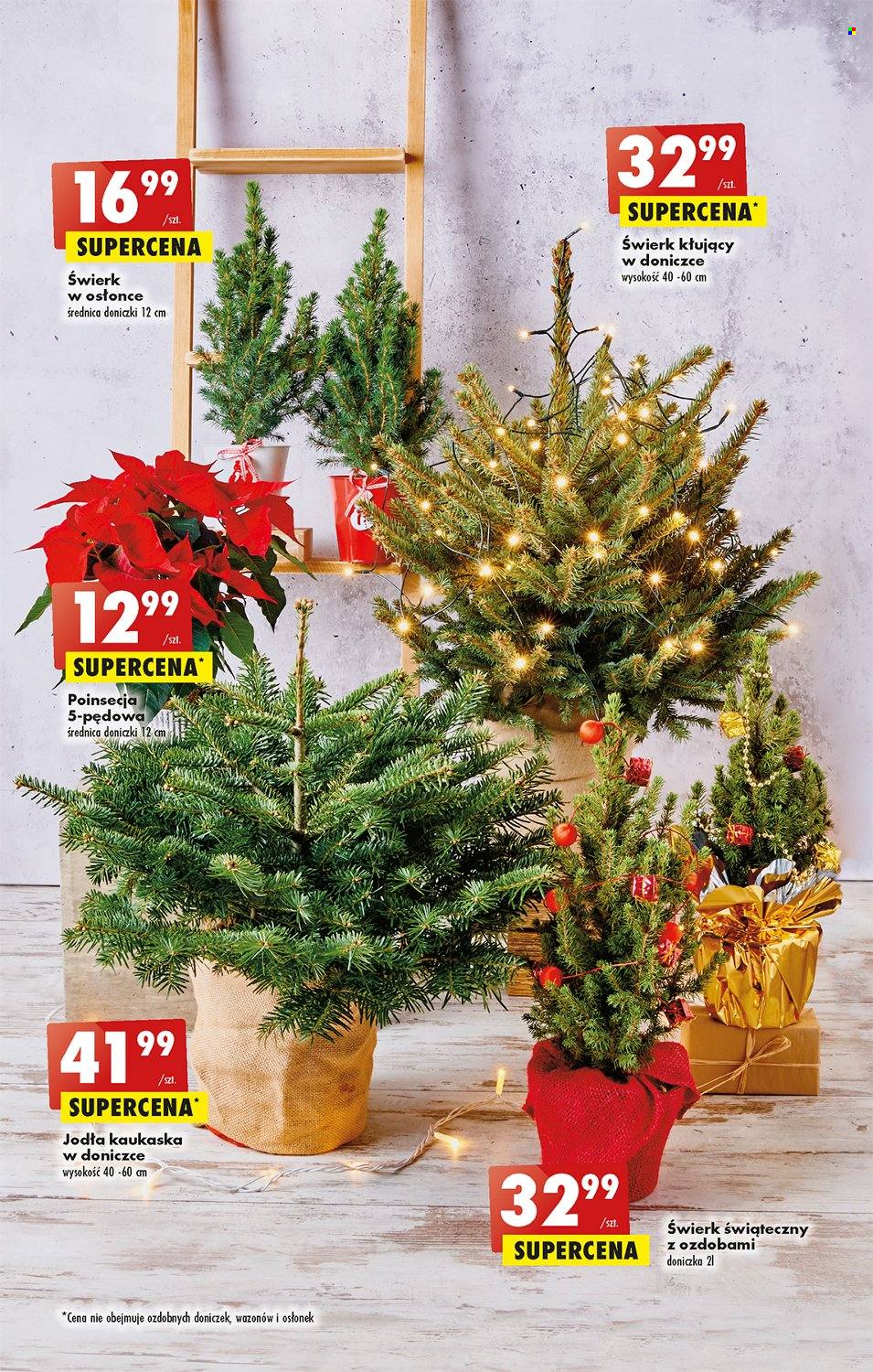 Gazetka Biedronka - 5.12.2022 - 11.12.2022. Strona 56