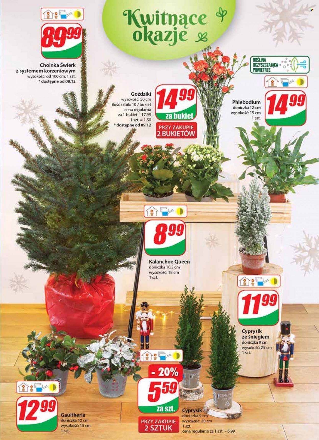 Gazetka Dino - 7.12.2022 - 13.12.2022. Strona 21