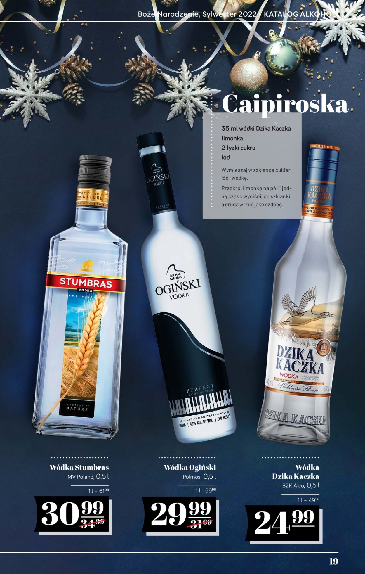 Gazetka Polomarket - 9.12.2022 - 31.12.2022. Strona 19