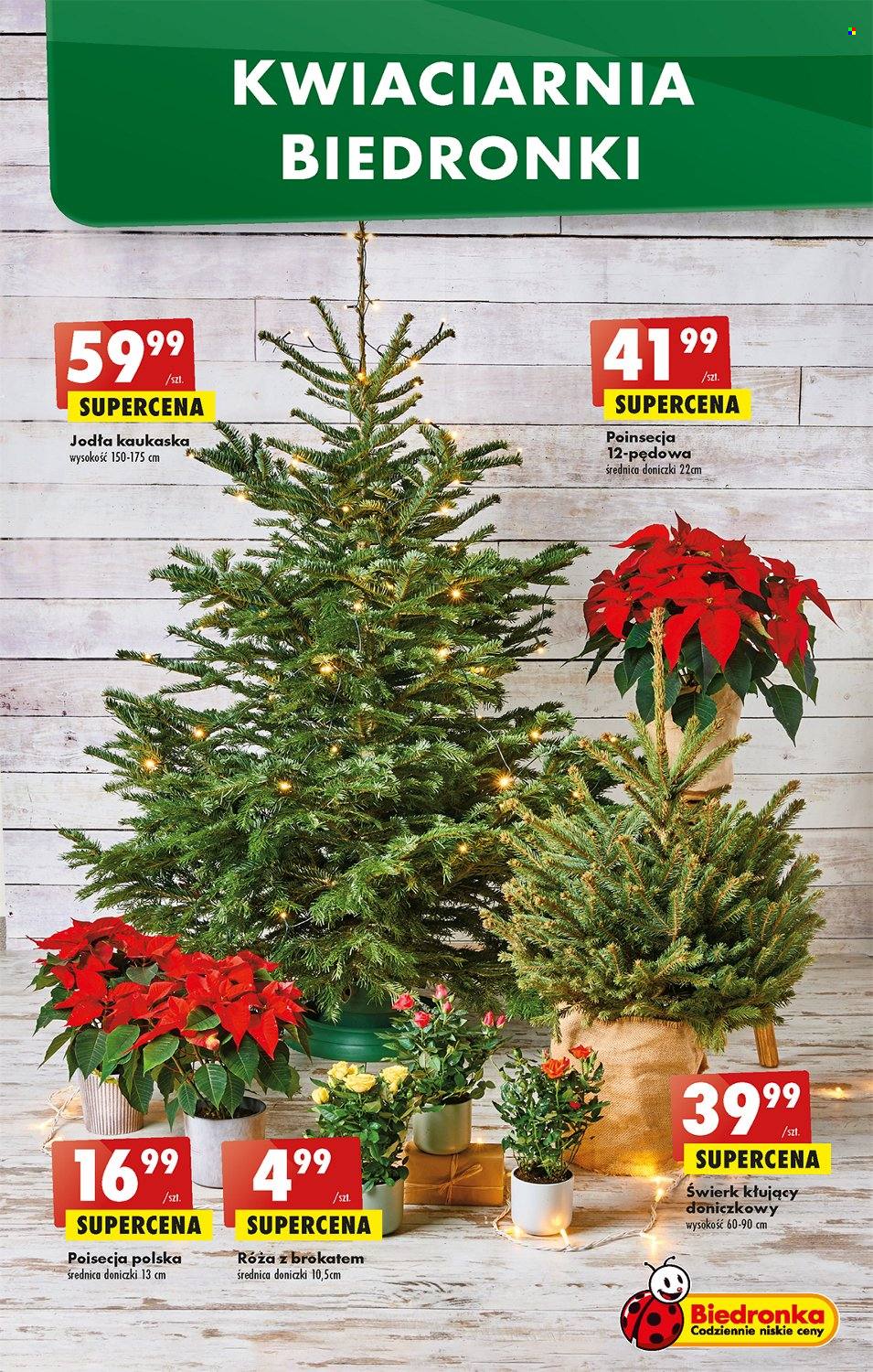 Gazetka Biedronka - 8.12.2022 - 14.12.2022. Strona 55