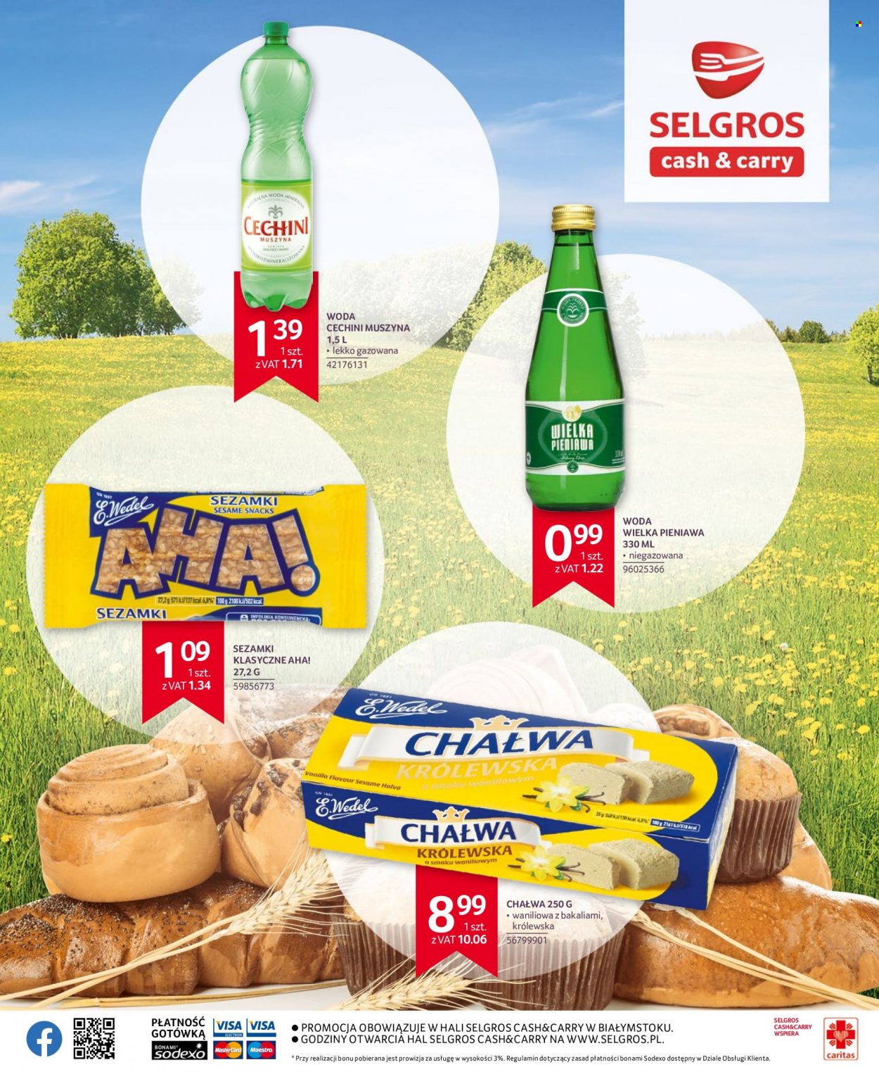 Gazetka Selgros - 15.12.2022 - 24.12.2022. Strona 2