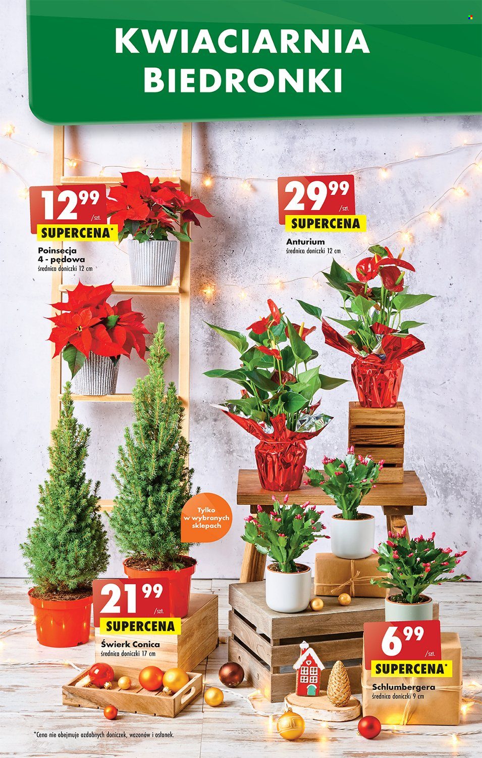Gazetka Biedronka - 19.12.2022 - 24.12.2022. Strona 11