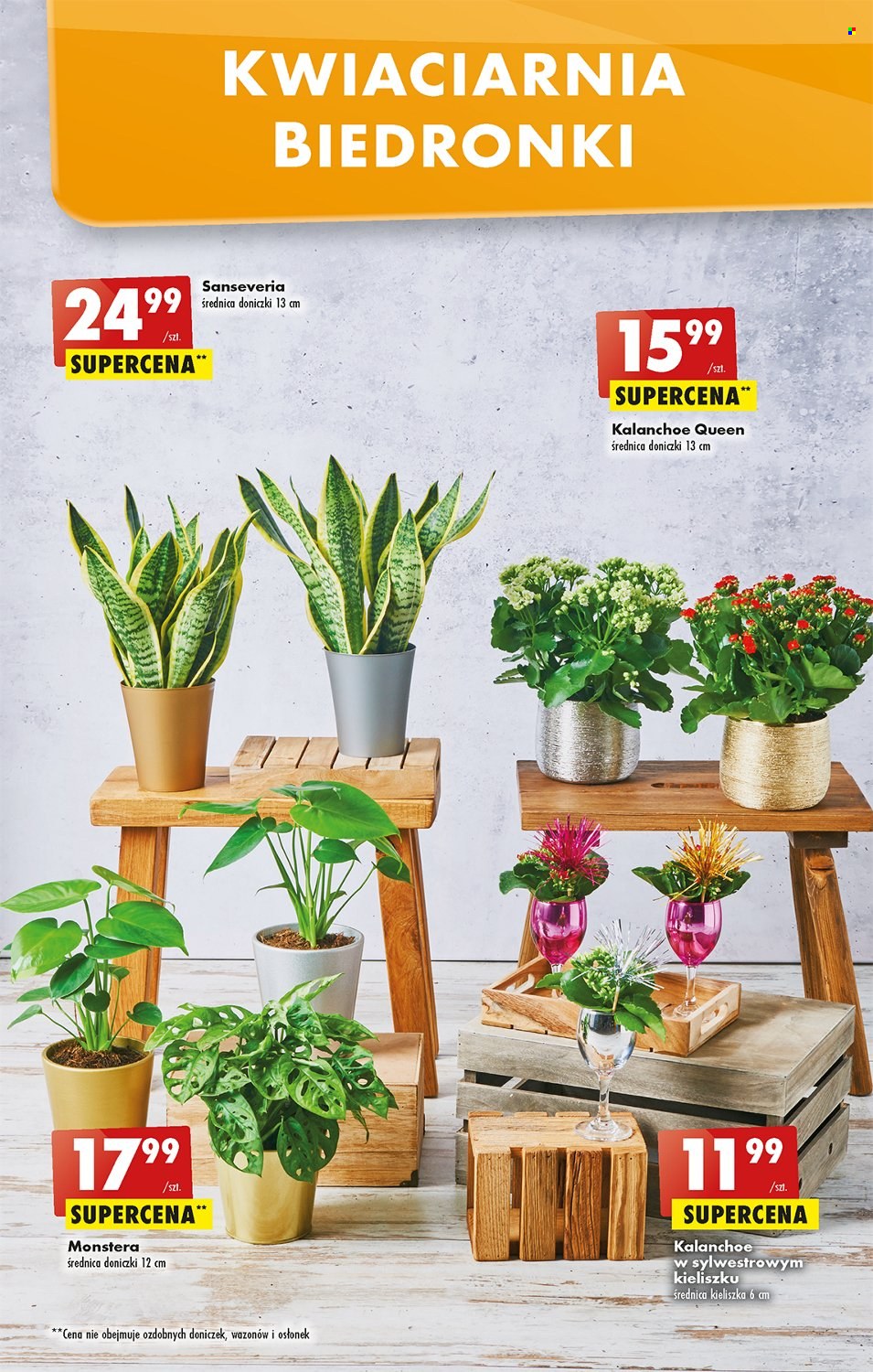 Gazetka Biedronka - 27.12.2022 - 31.12.2022. Strona 53