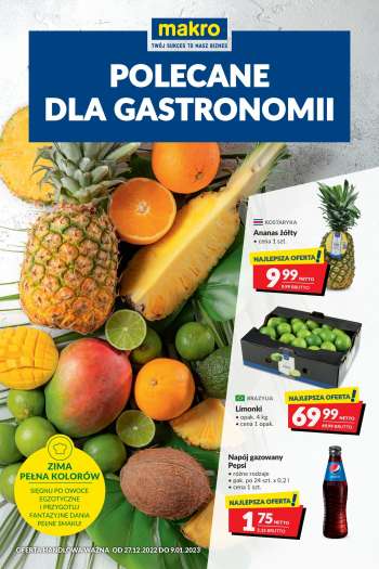Gazetka Makro - 27.12.2022 - 9.01.2023.