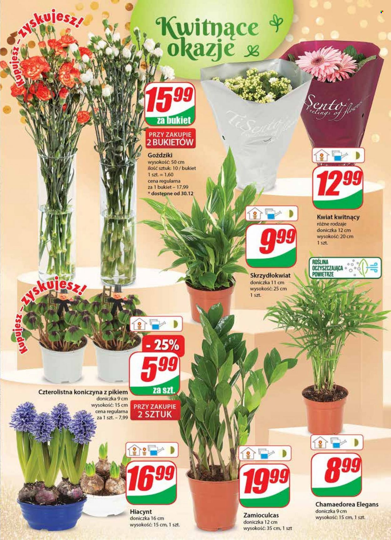 Gazetka Dino - 28.12.2022 - 3.01.2023. Strona 17
