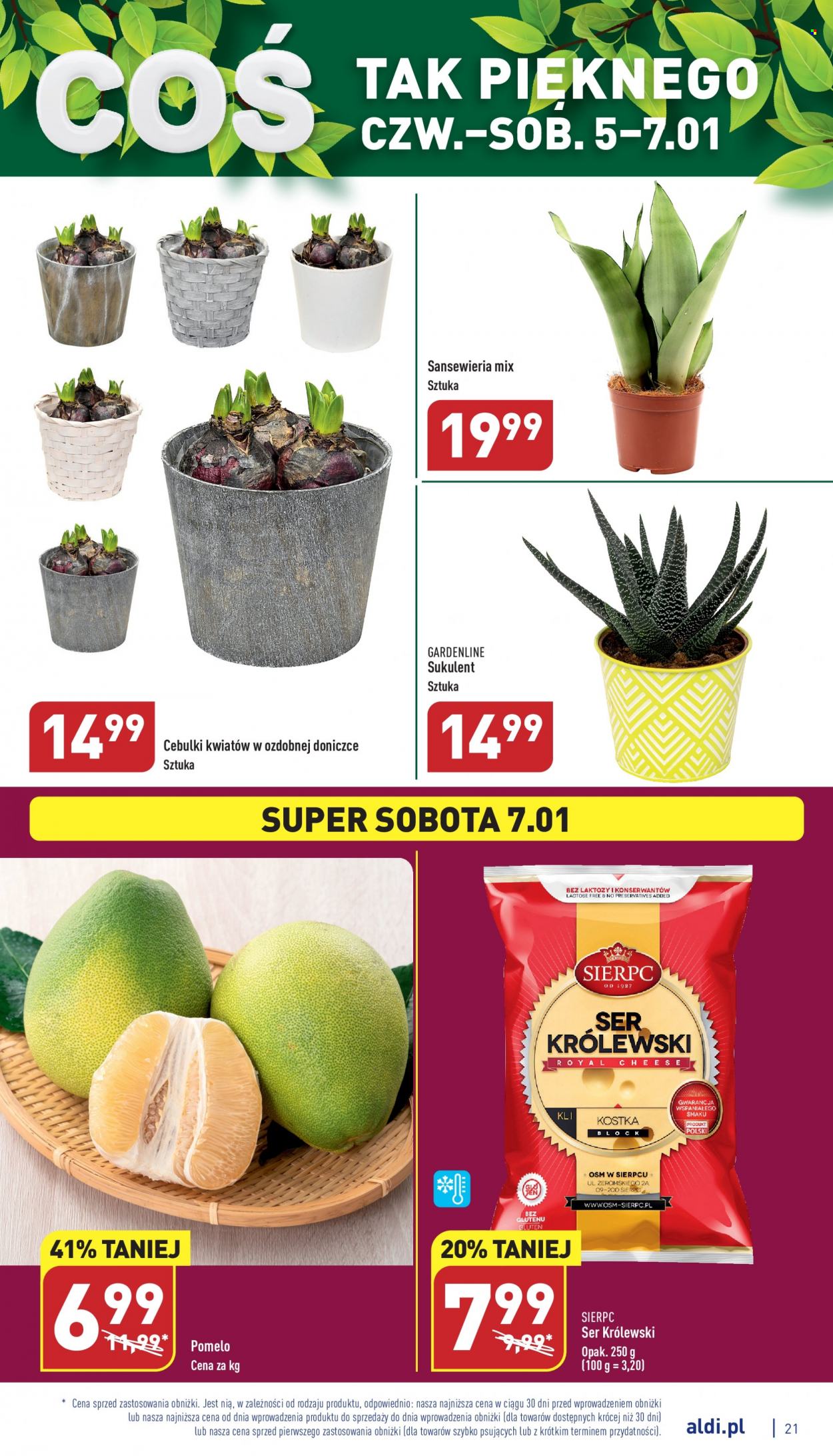 Gazetka ALDI - 2.01.2023 - 7.01.2023. Strona 21
