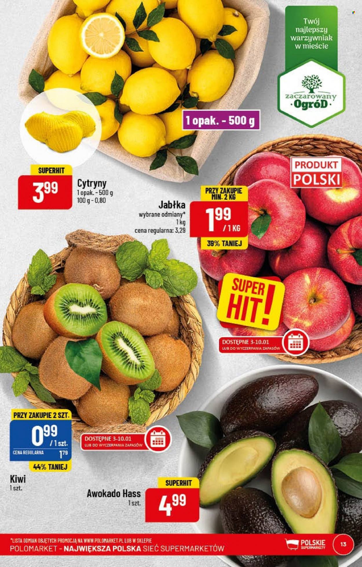 Gazetka Polomarket - 2.01.2023 - 10.01.2023. Strona 13