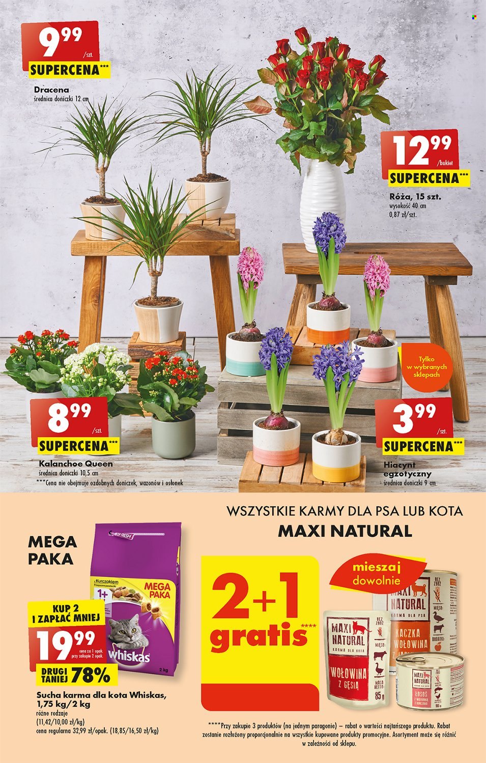 Gazetka Biedronka - 2.01.2023 - 7.01.2023. Strona 47