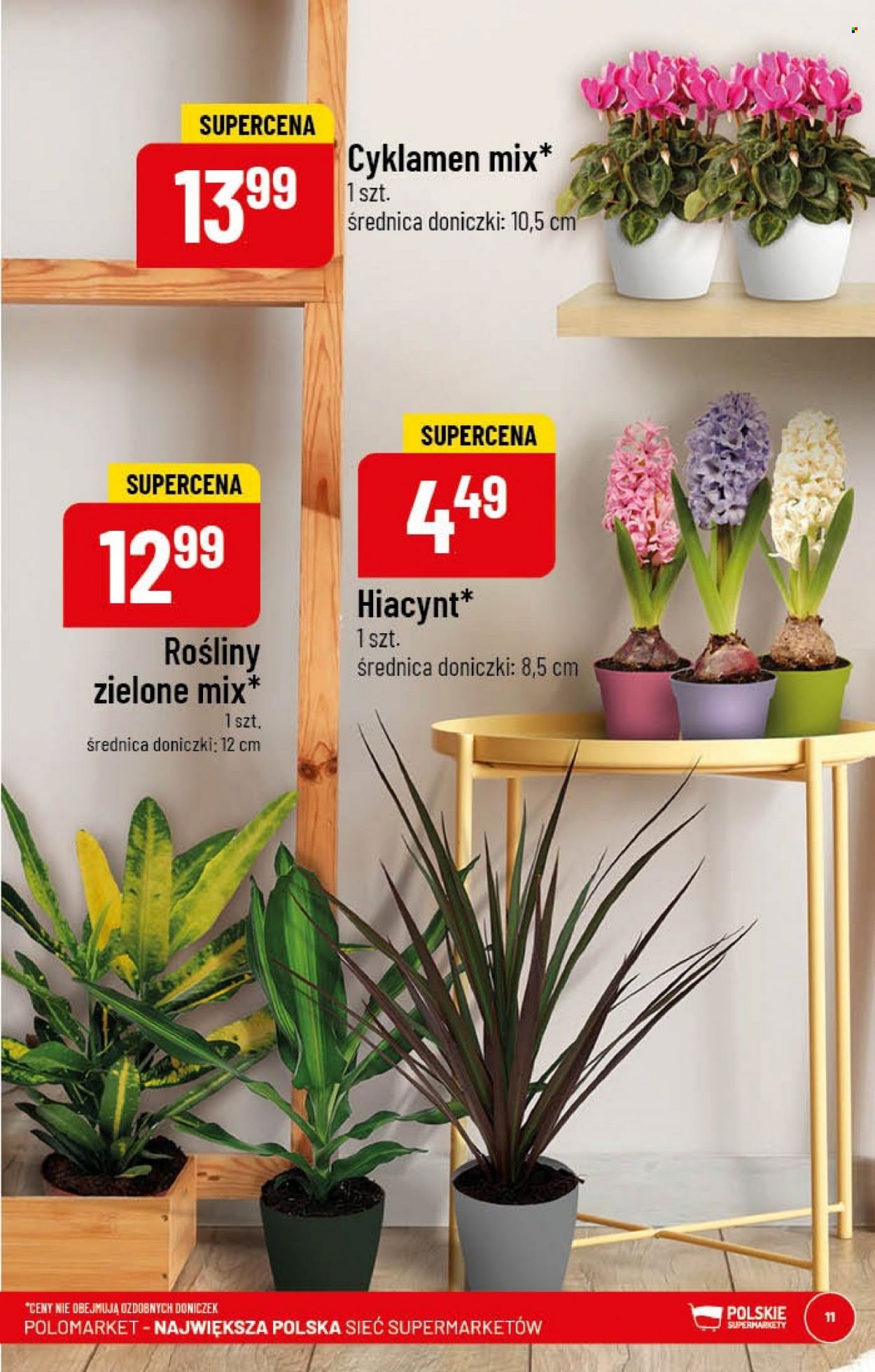 Gazetka Polomarket - 11.01.2023 - 17.01.2023. Strona 11