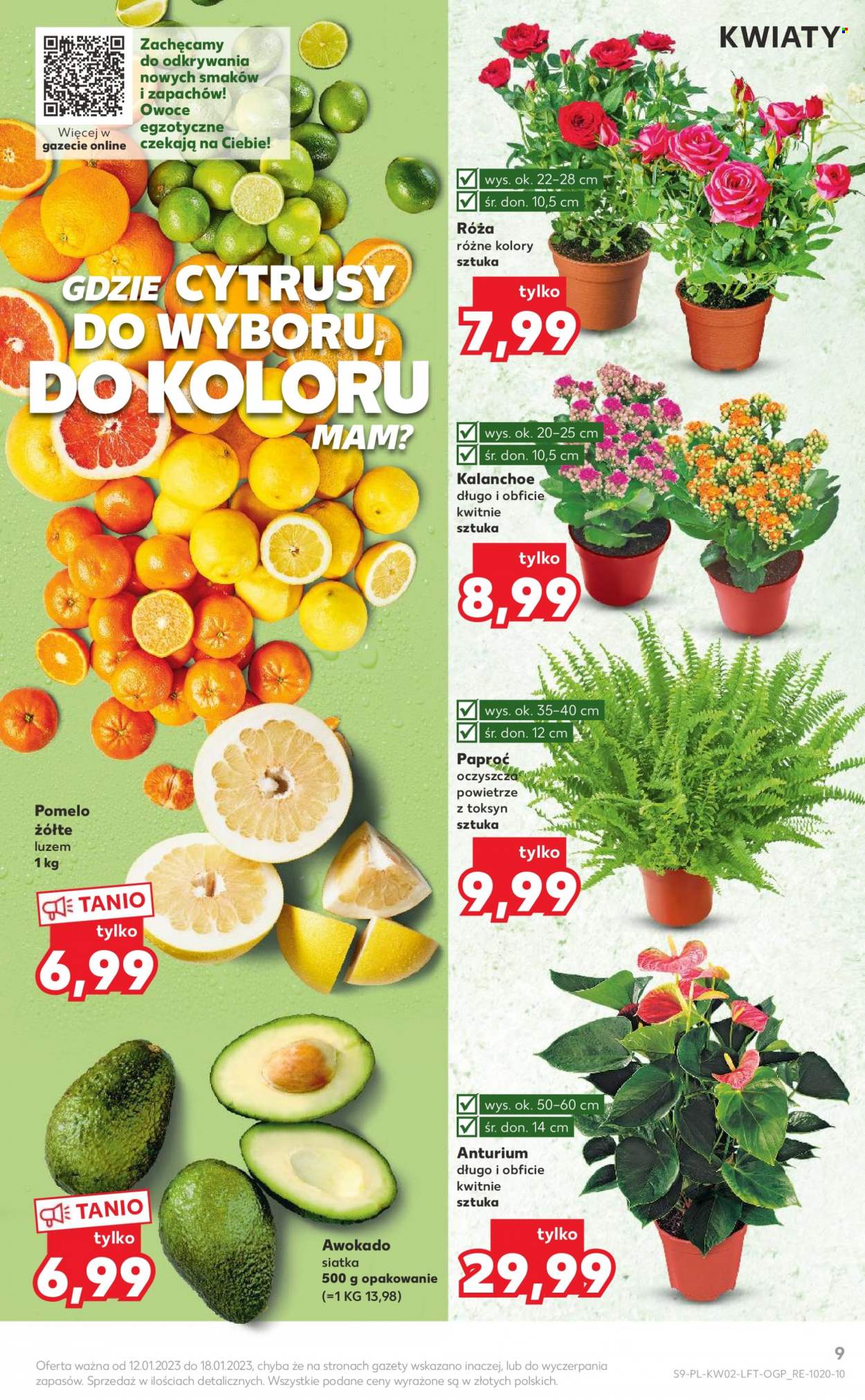 Gazetka Kaufland - 12.01.2023 - 18.01.2023. Strona 9