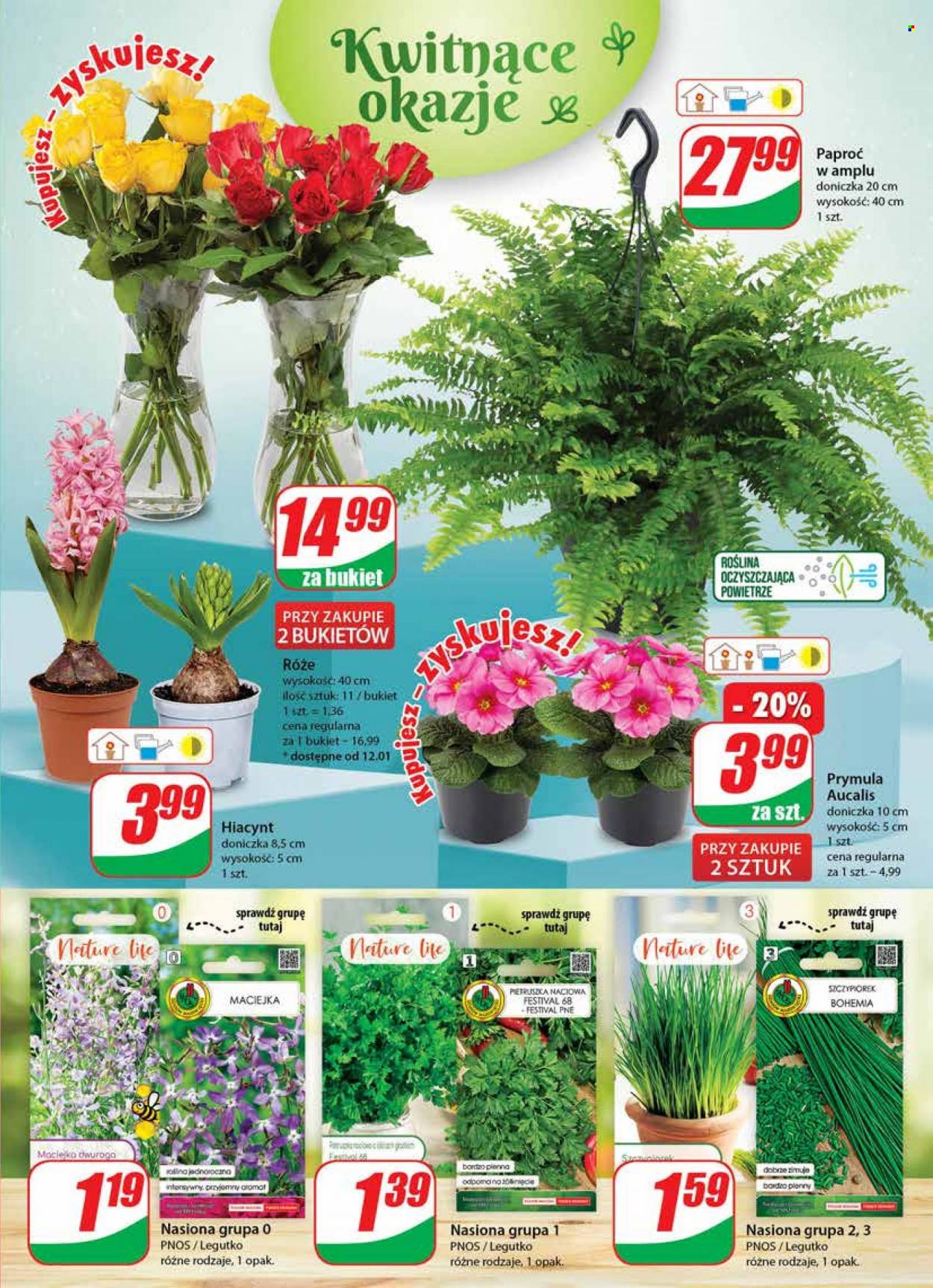 Gazetka Dino - 11.01.2023 - 17.01.2023. Strona 19