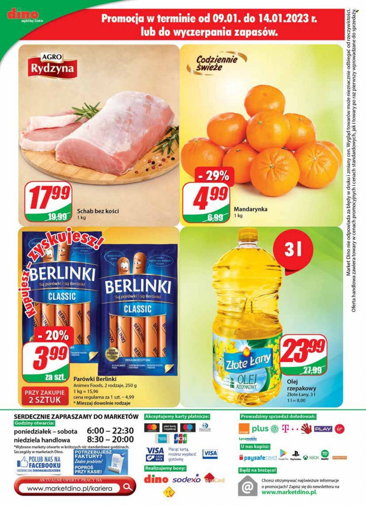 Gazetka Dino - 11.01.2023 - 17.01.2023. Strona 24