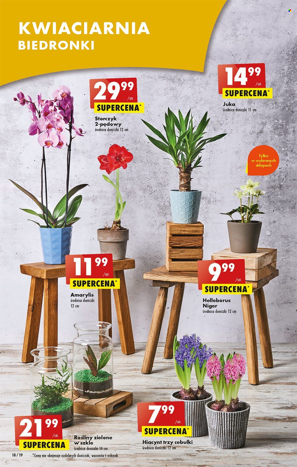 Gazetka Biedronka - 12.01.2023 - 18.01.2023. Strona 18