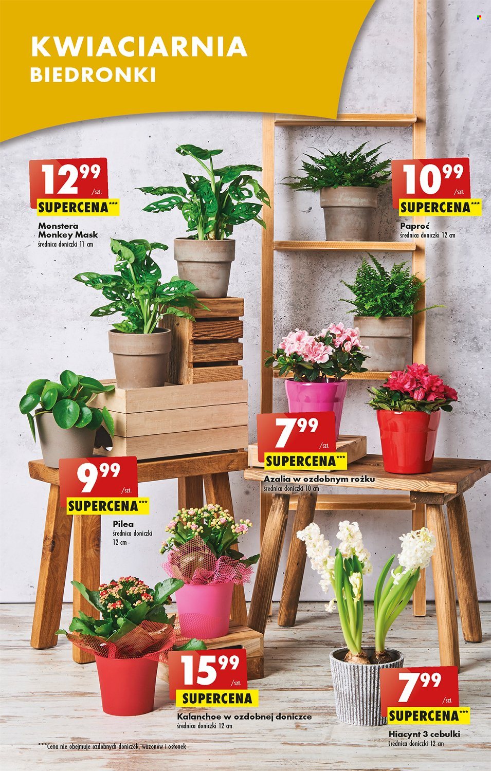 Gazetka Biedronka - 16.01.2023 - 21.01.2023. Strona 13