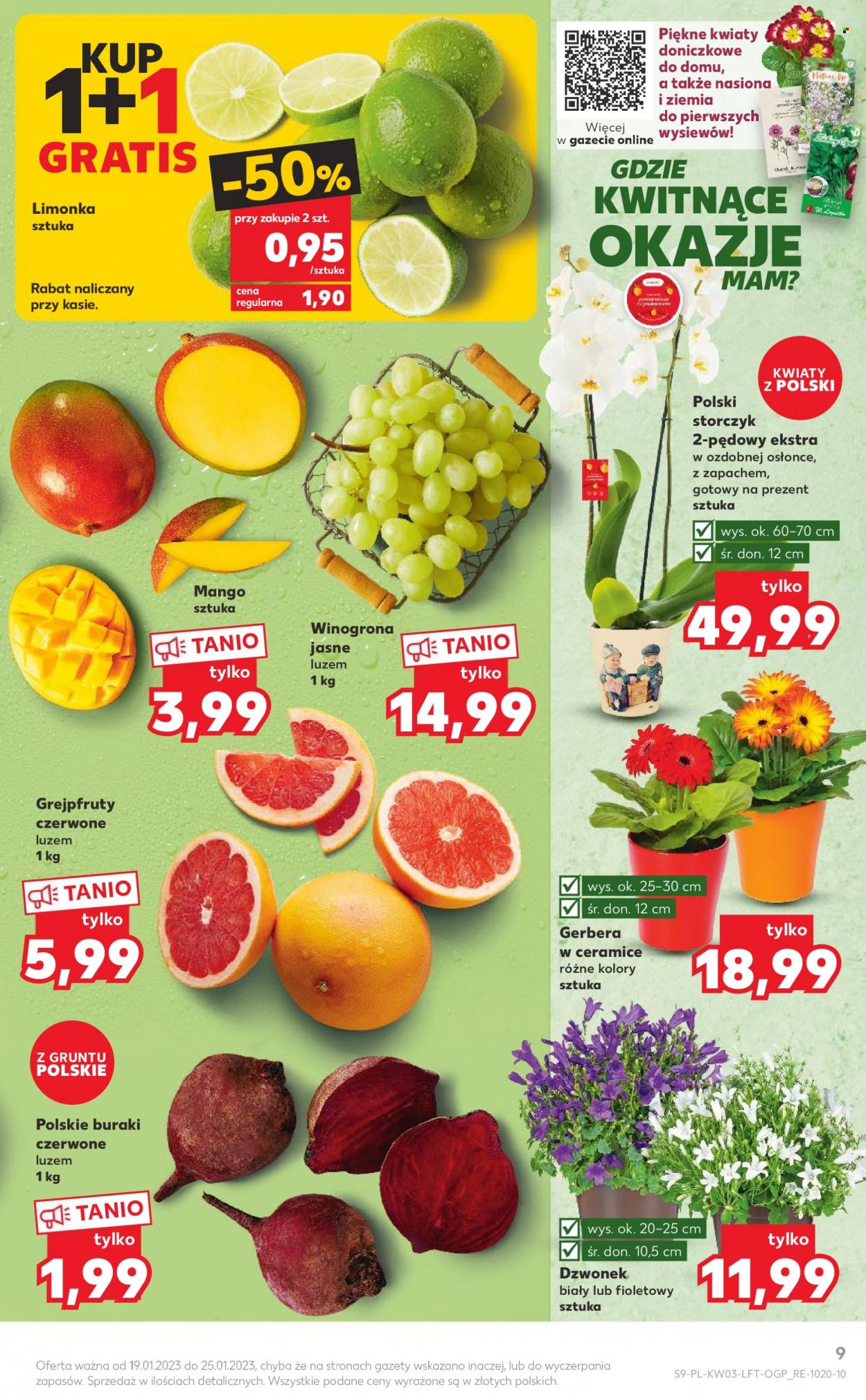Gazetka Kaufland - 19.01.2023 - 25.01.2023. Strona 9