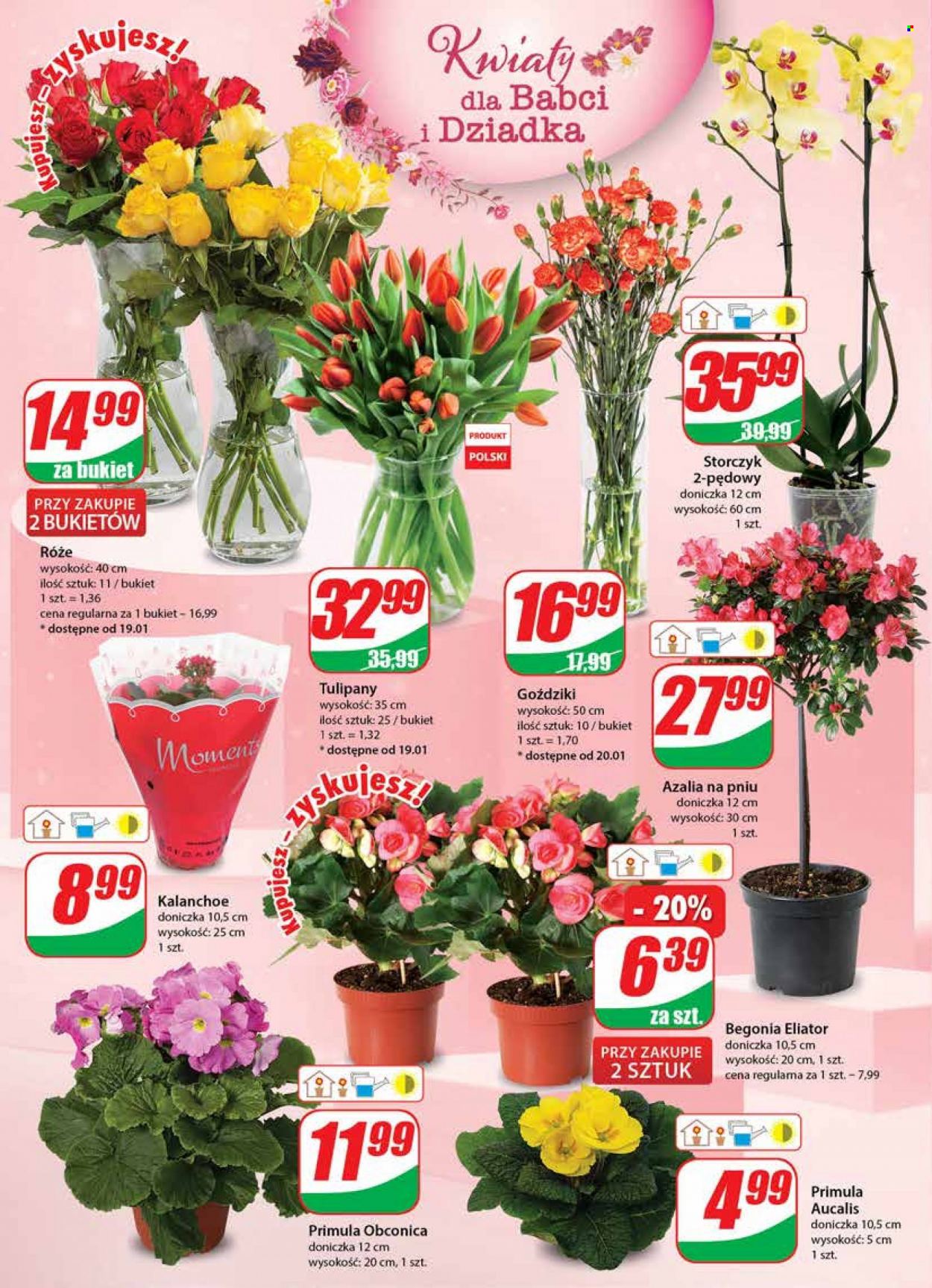 Gazetka Dino - 18.01.2023 - 24.01.2023. Strona 18