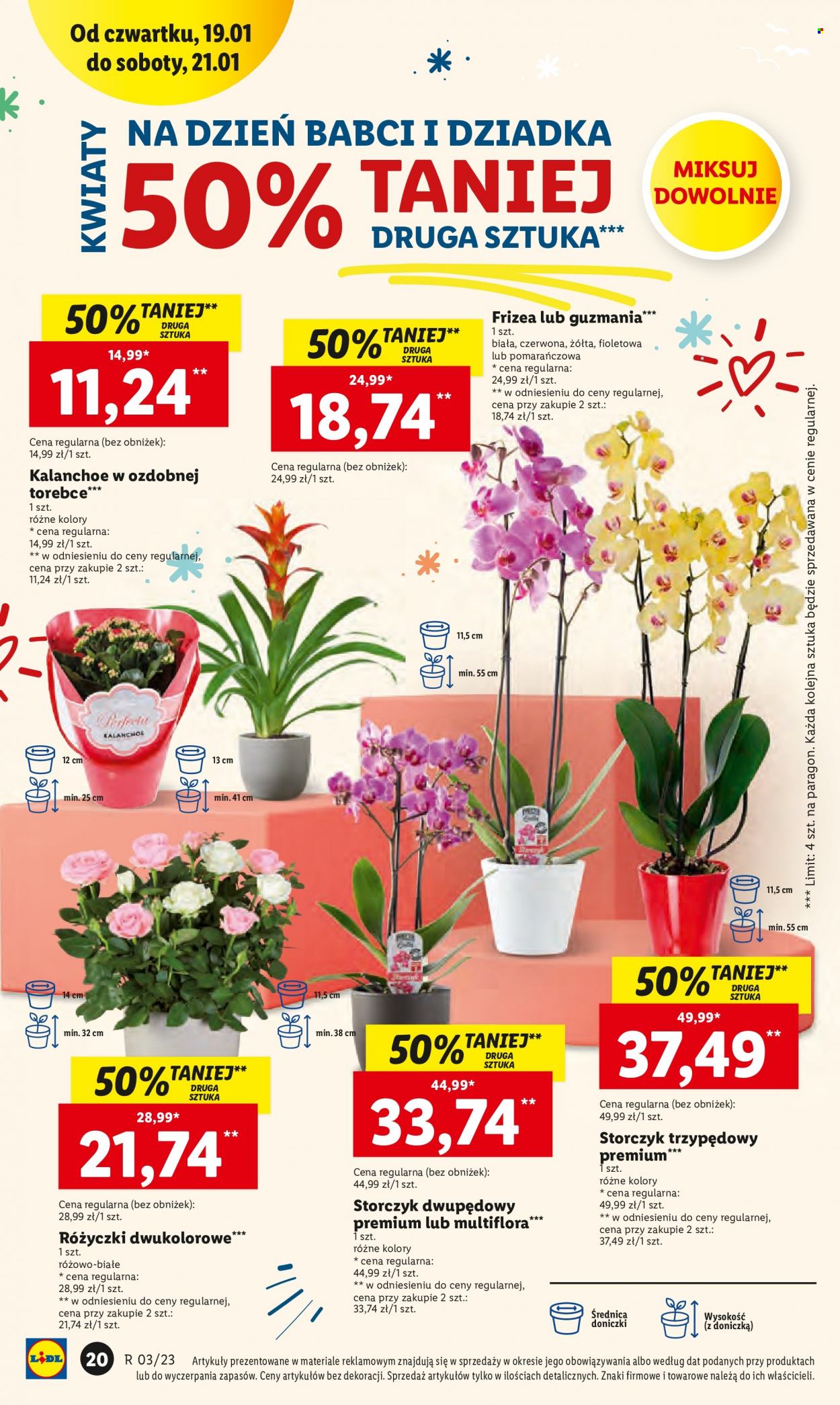 Gazetka Lidl - 19.01.2023 - 21.01.2023. Strona 24