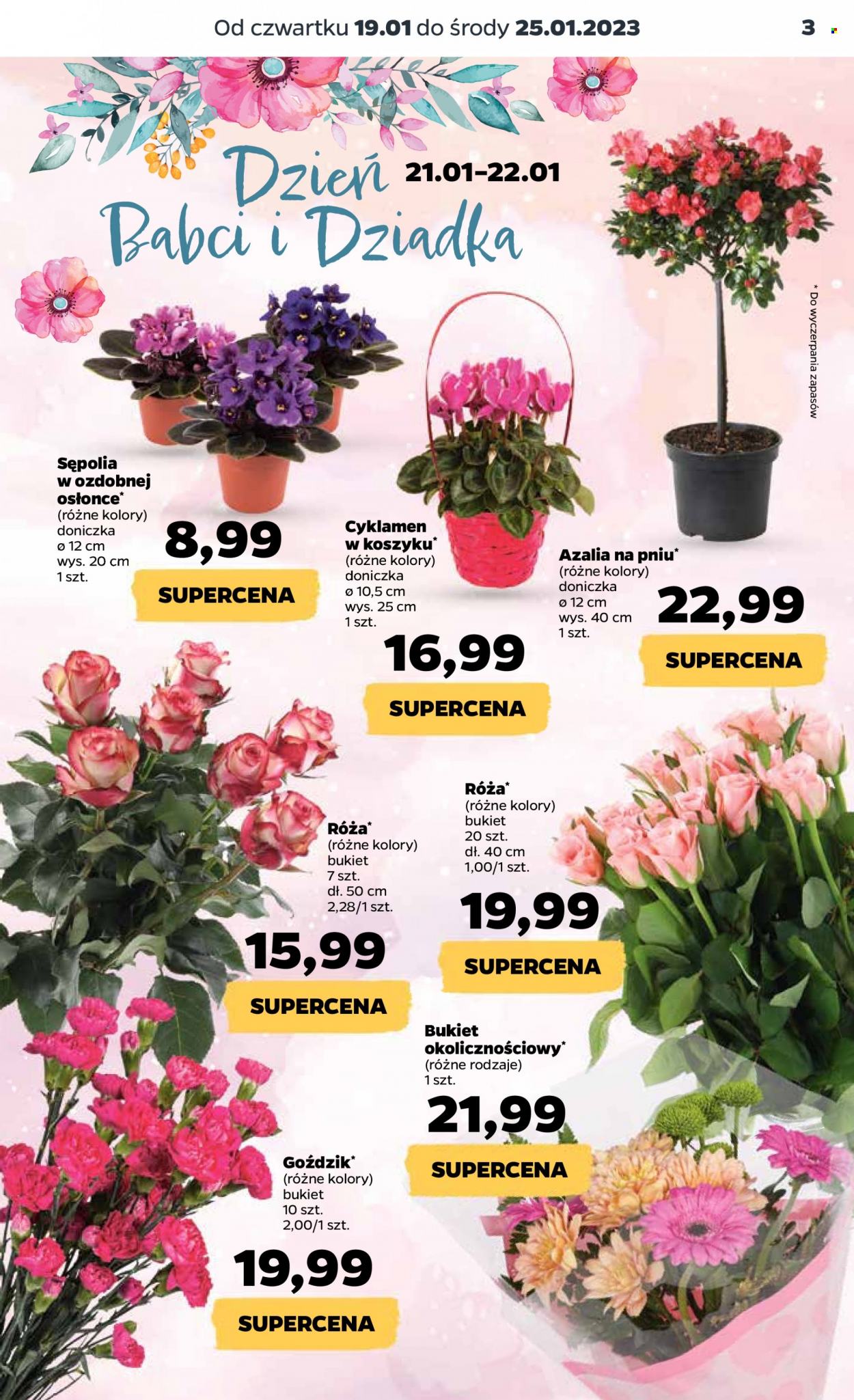 Gazetka Netto - 19.01.2023 - 25.01.2023. Strona 3