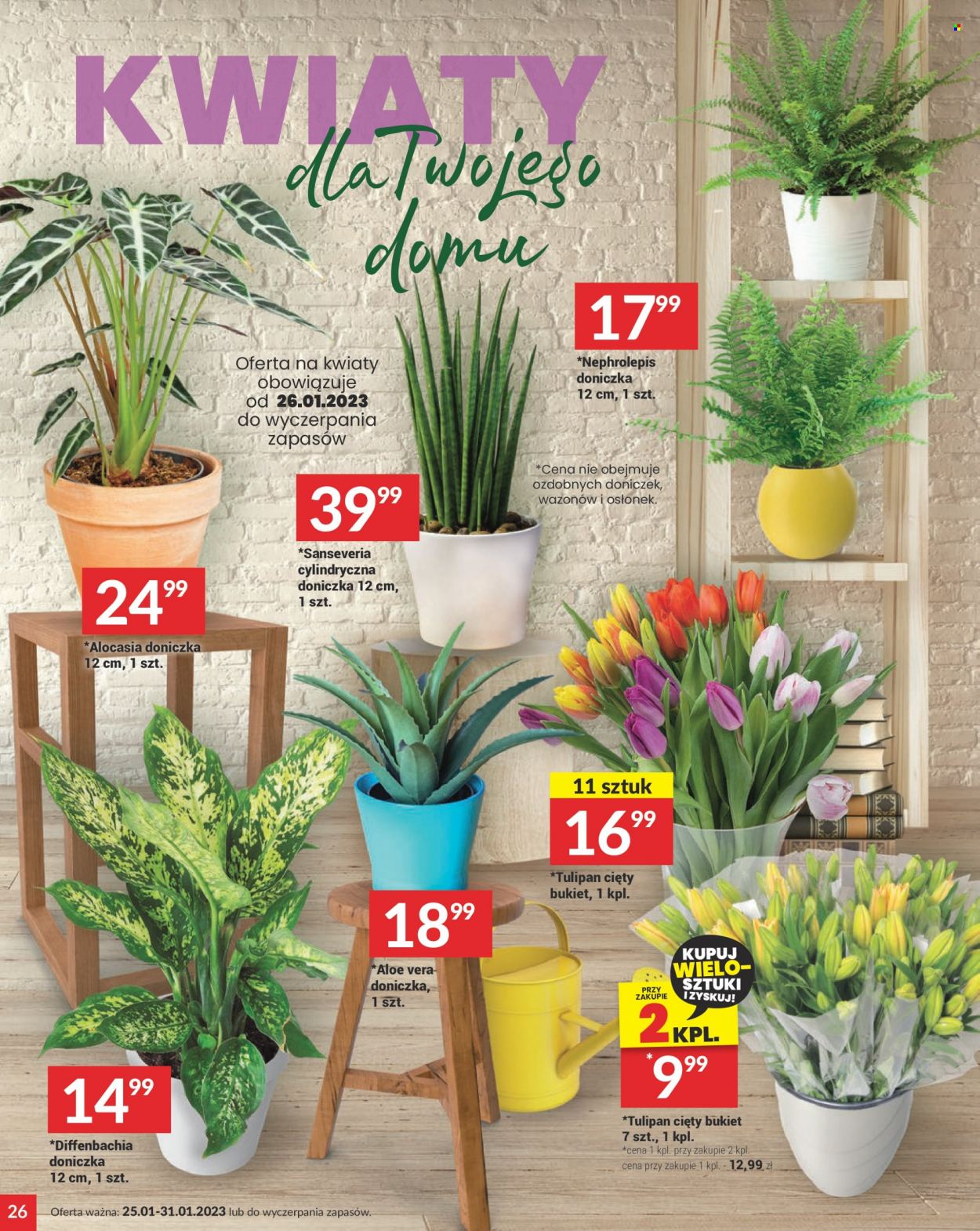 Gazetka Twój Market - 25.01.2023 - 31.01.2023. Strona 26