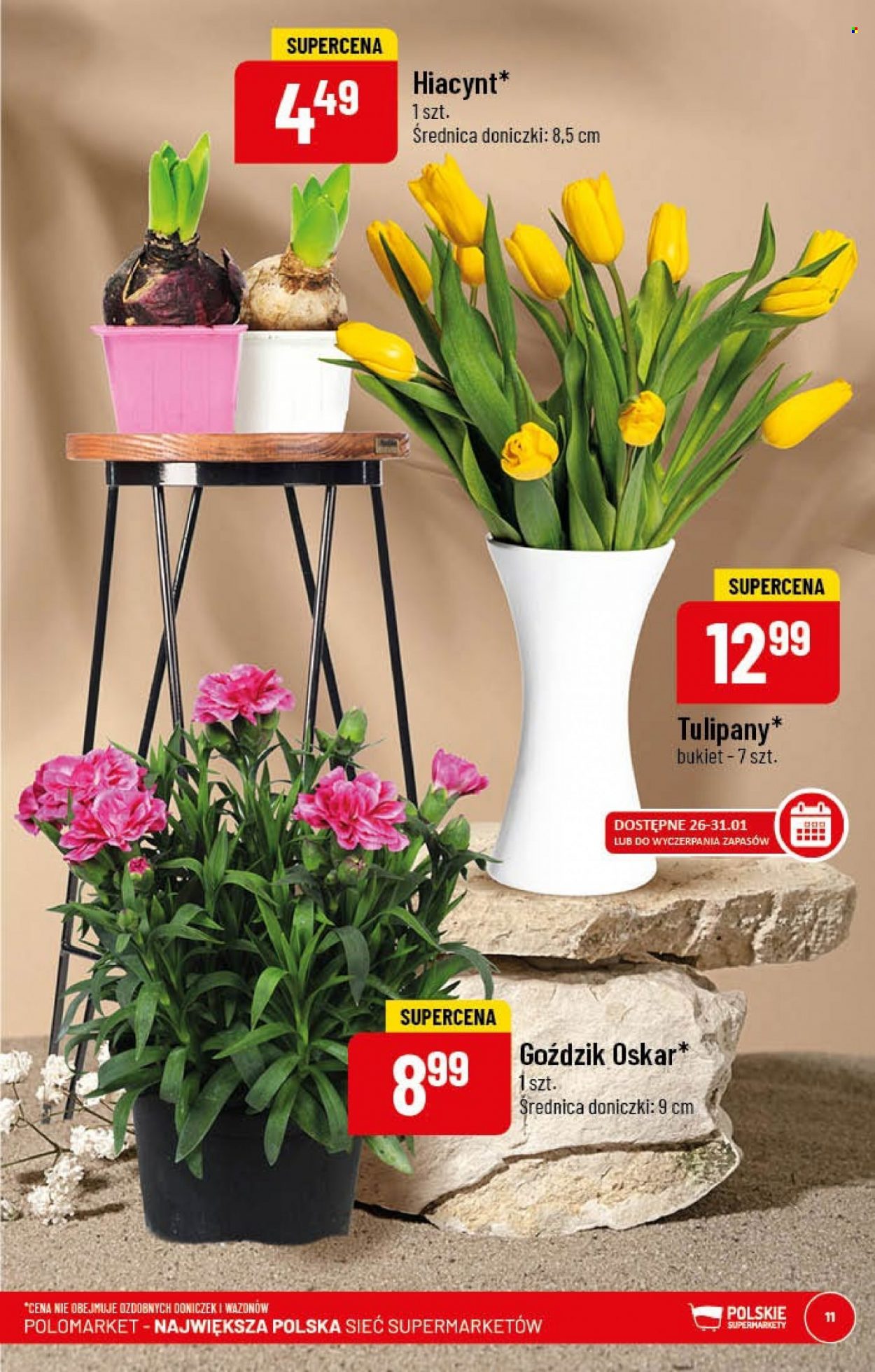 Gazetka Polomarket - 25.01.2023 - 31.01.2023. Strona 11