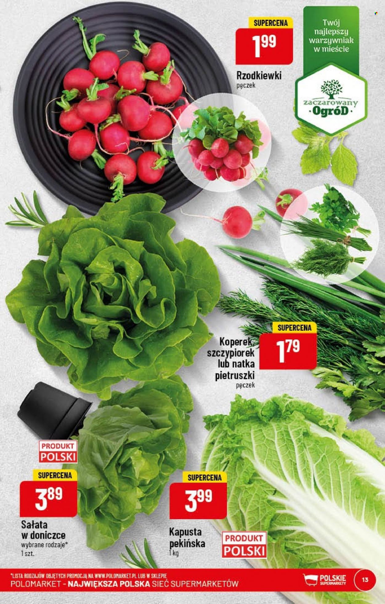 Gazetka Polomarket - 25.01.2023 - 31.01.2023. Strona 13