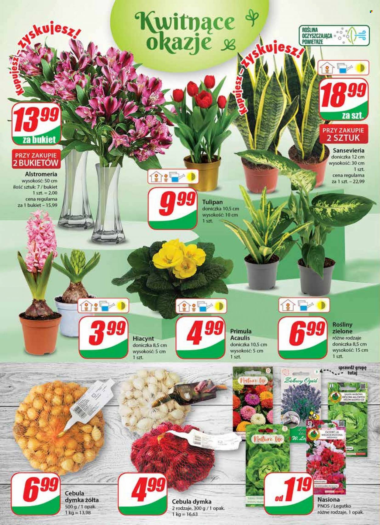Gazetka Dino - 25.01.2023 - 31.01.2023. Strona 18