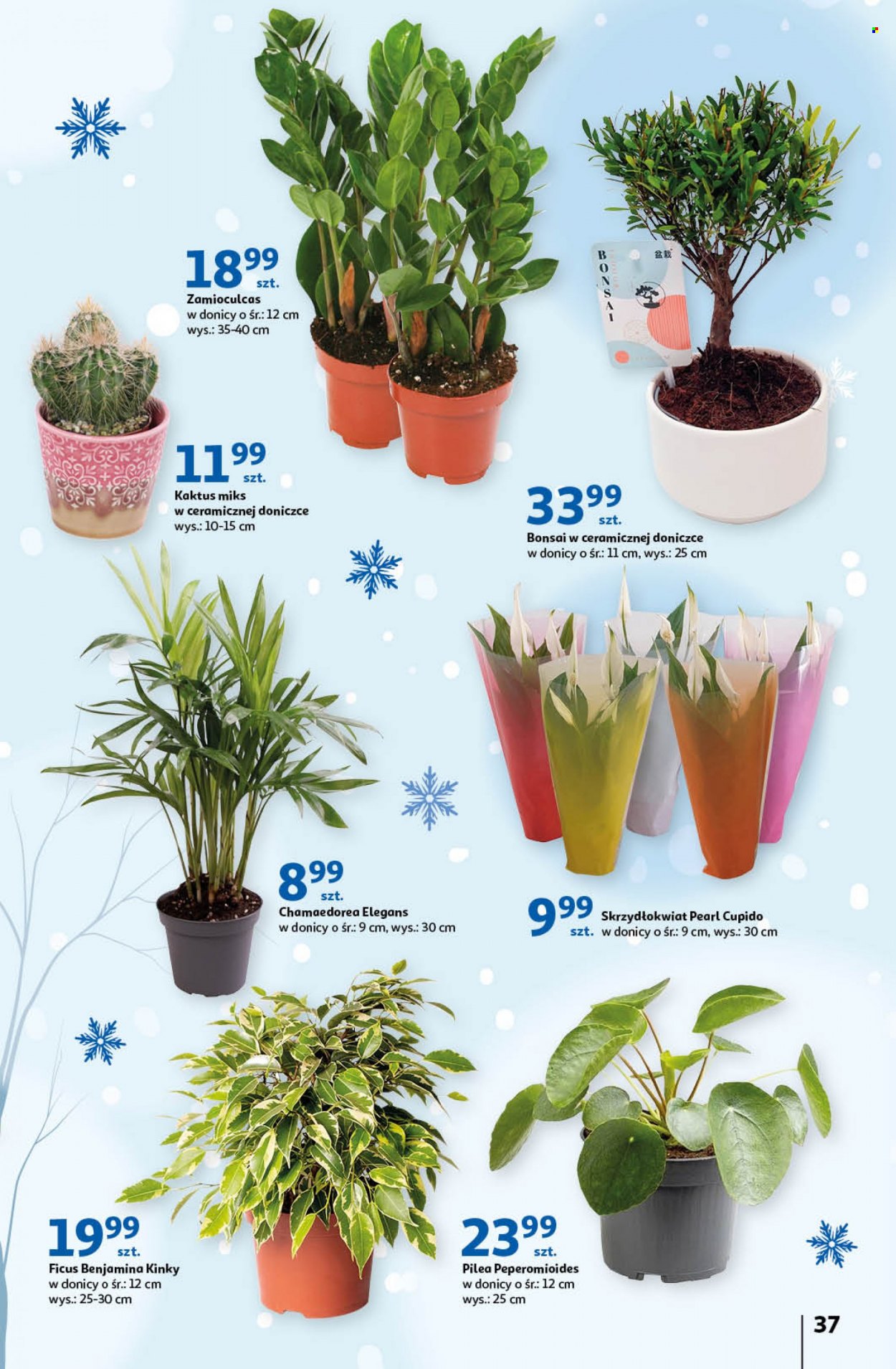 Gazetka Auchan - 26.01.2023 - 1.02.2023. Strona 37