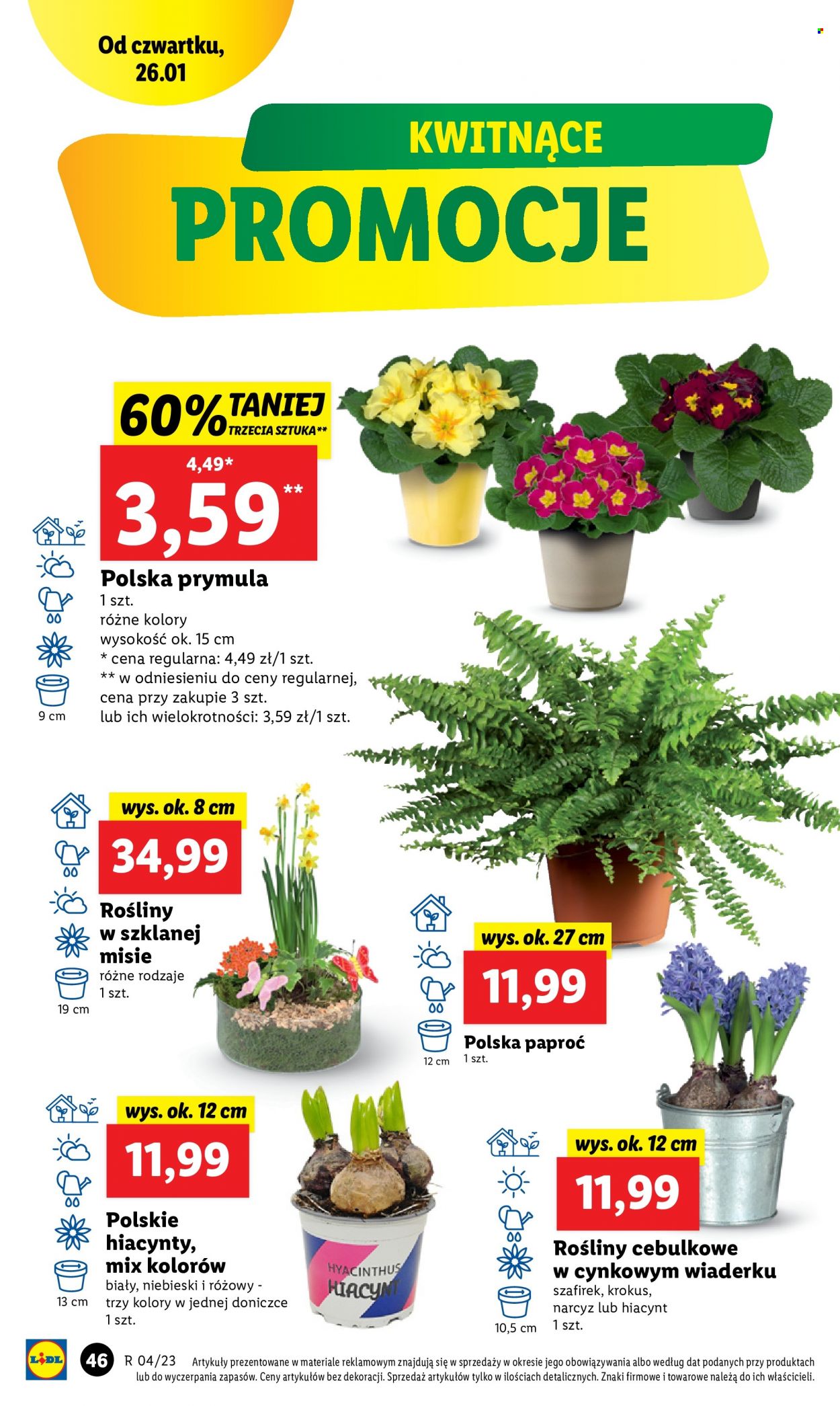 Gazetka Lidl - 26.01.2023 - 29.01.2023. Strona 52