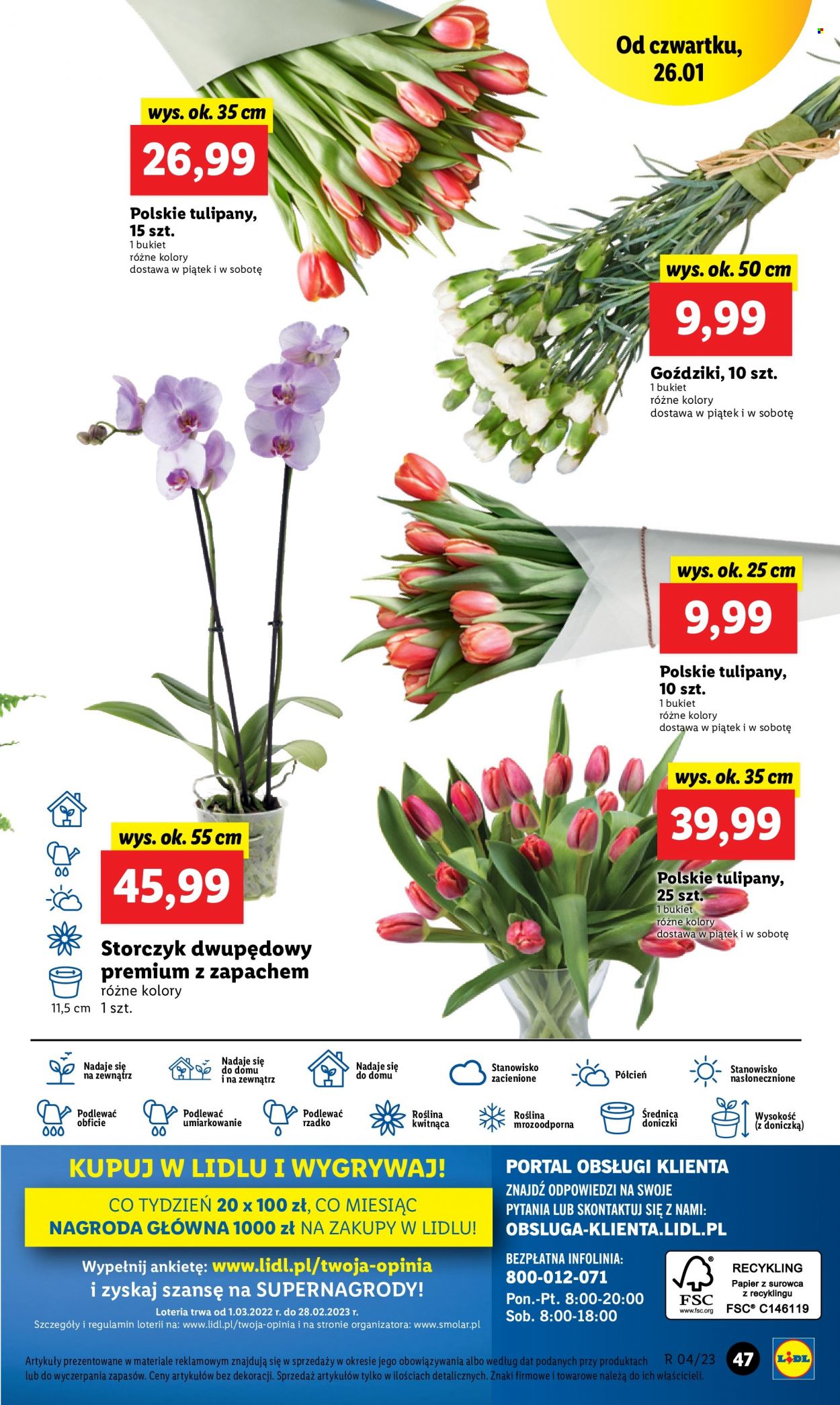 Gazetka Lidl - 26.01.2023 - 29.01.2023. Strona 53