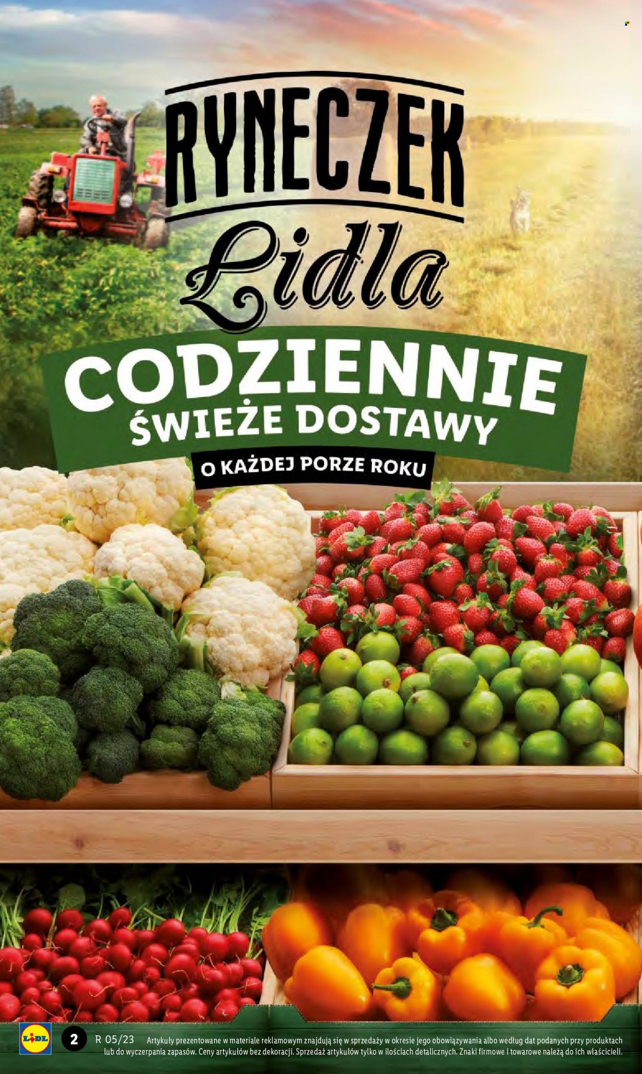 Gazetka Lidl - 30.01.2023 - 1.02.2023. Strona 2