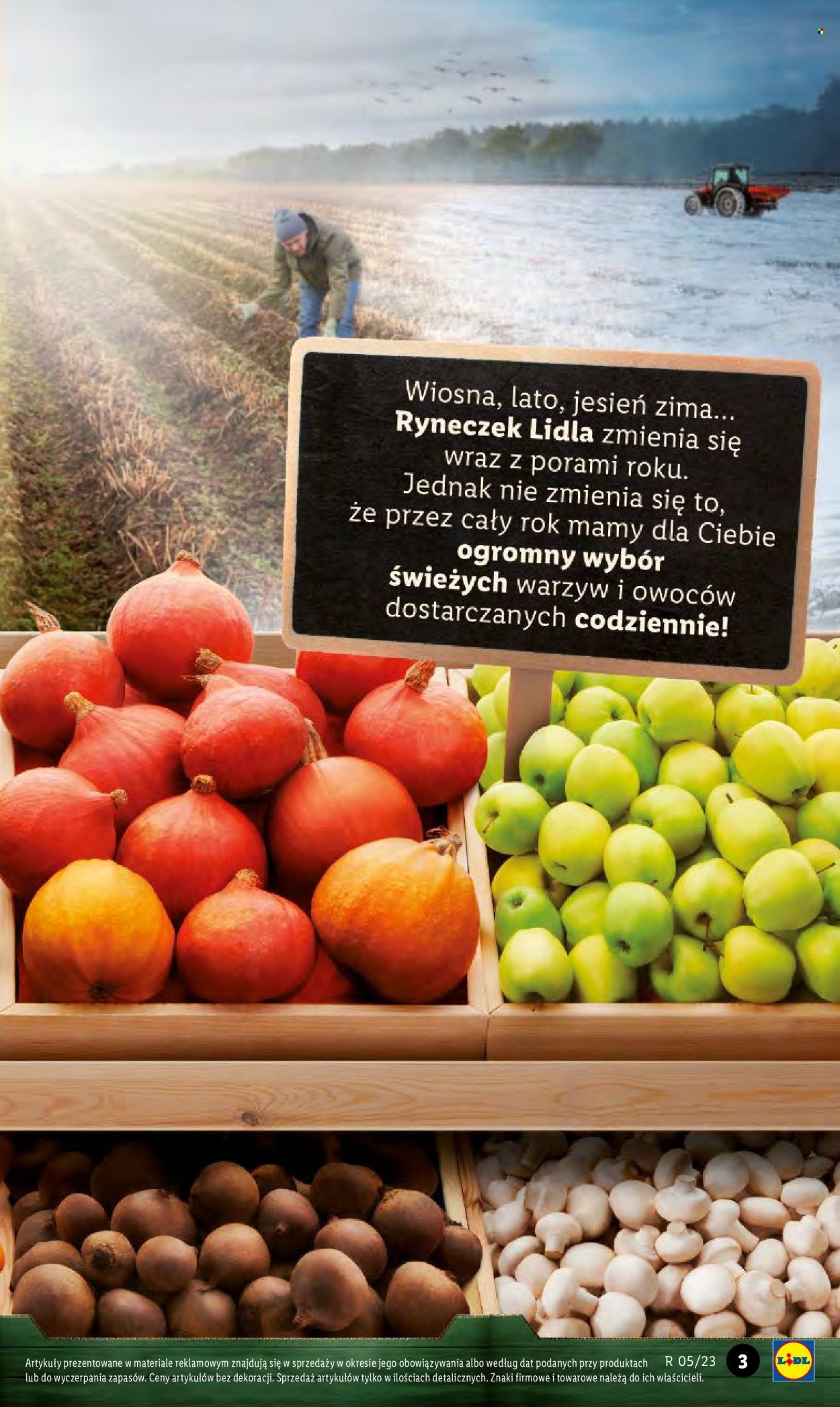 Gazetka Lidl - 30.01.2023 - 1.02.2023. Strona 3